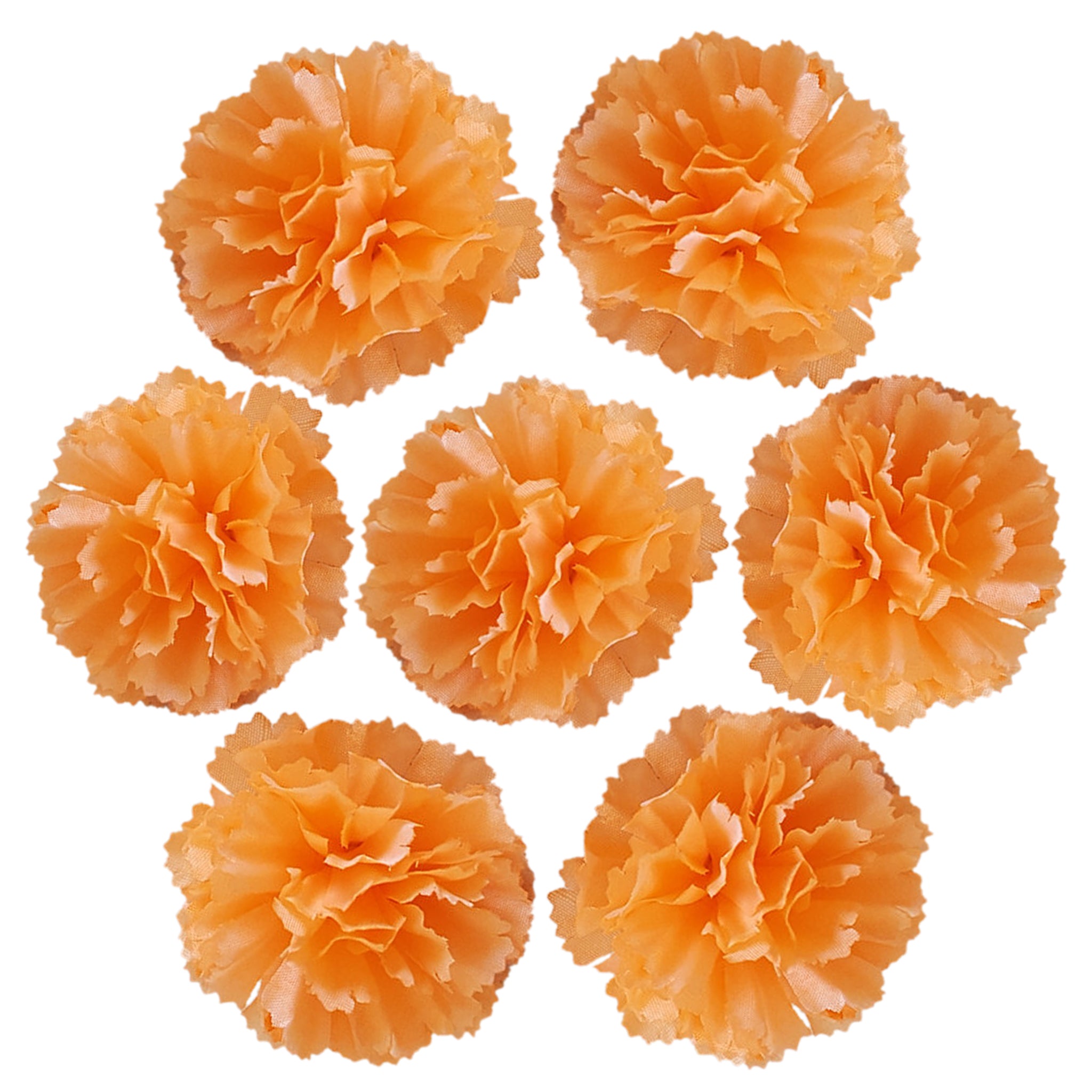 Wholesale Carnation in Bulk Wholesale 100