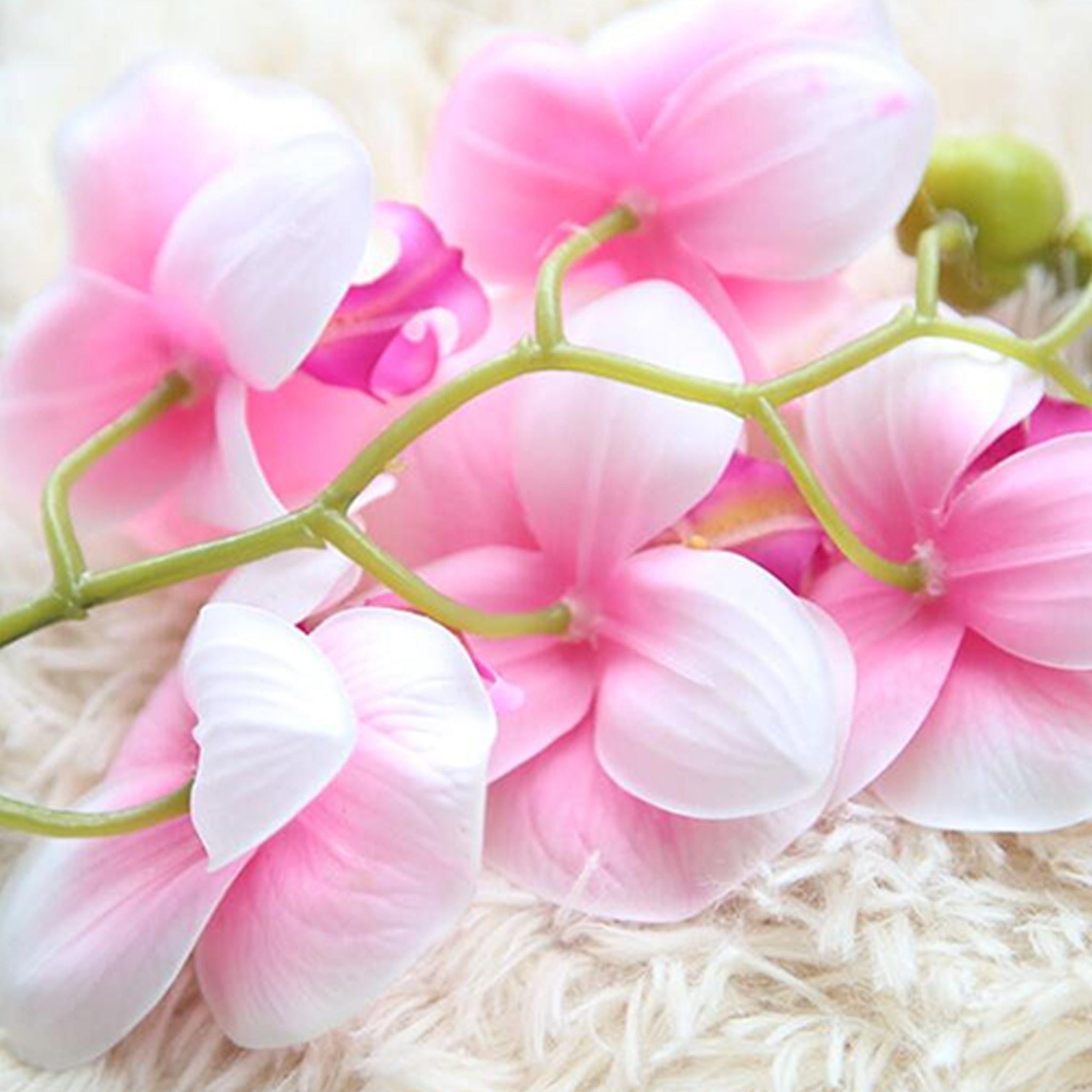 Fake Orchids Flowers White Purple Yellow Fuchsia