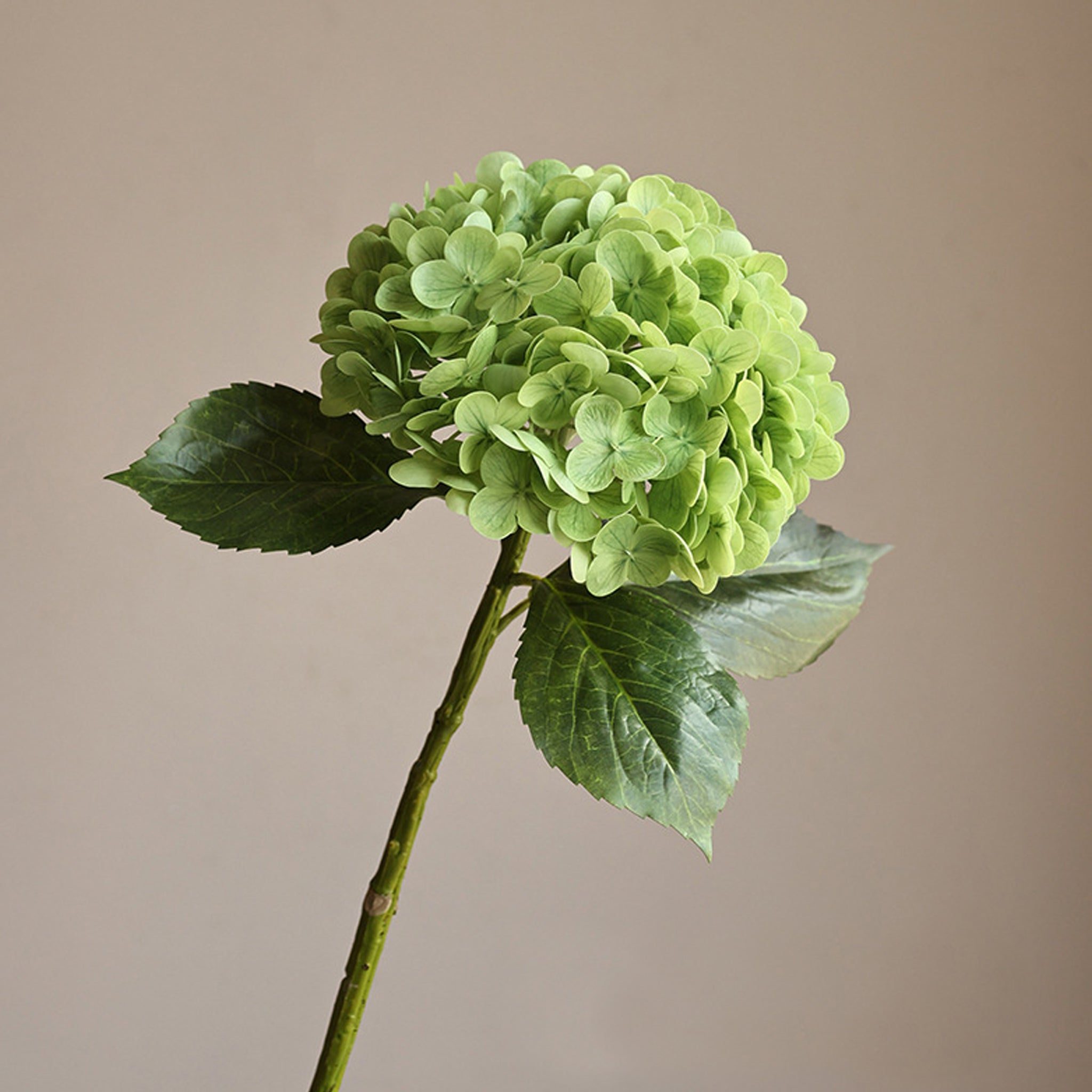 Fake Hydrangea Real Touch Flowers for Arrangement