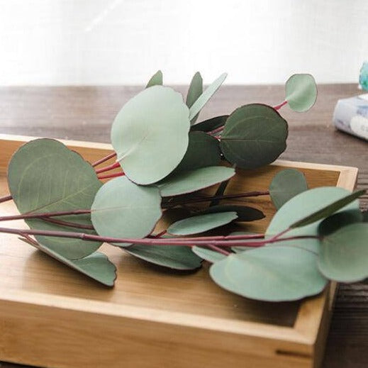 Silver Dollar Eucalyptus Tall Artificial Greenery Plants for Christmas Decorations