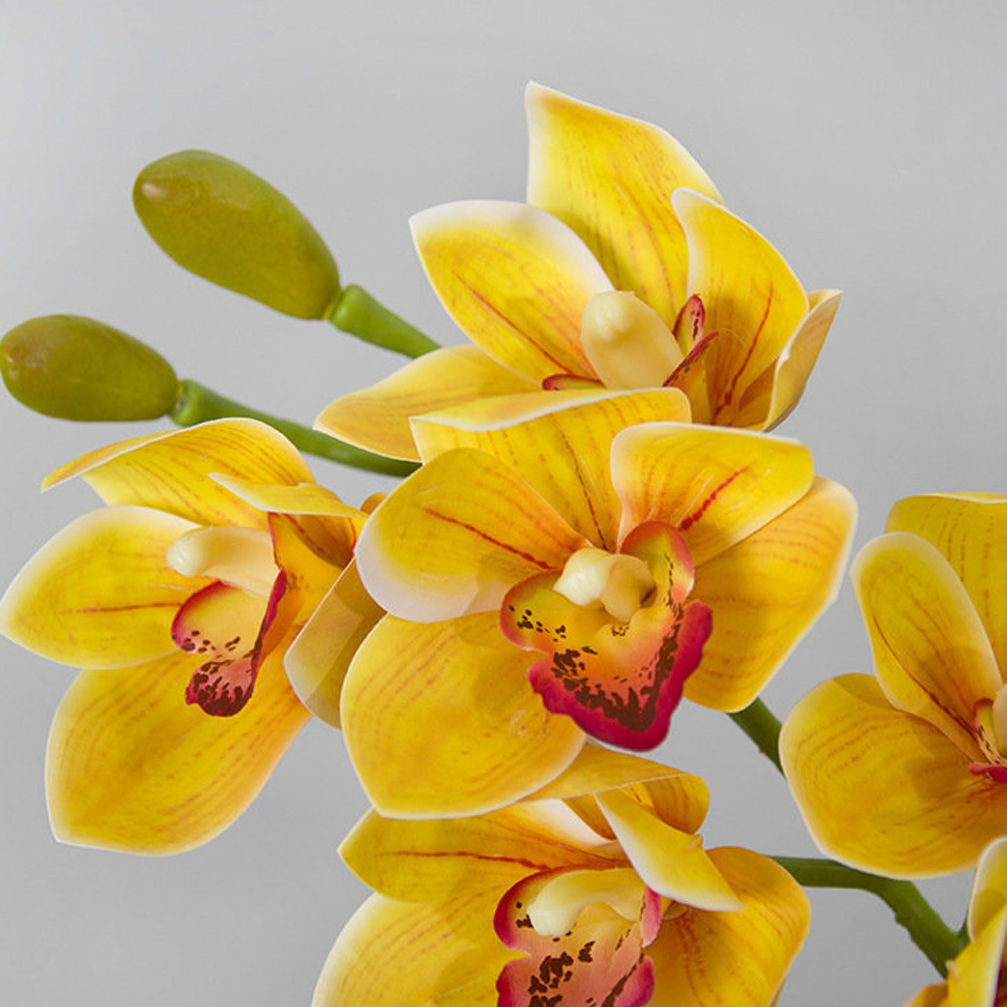 Real Touch 3D Printing Artificial Cymbidium Orchid Flower Latex Flowers