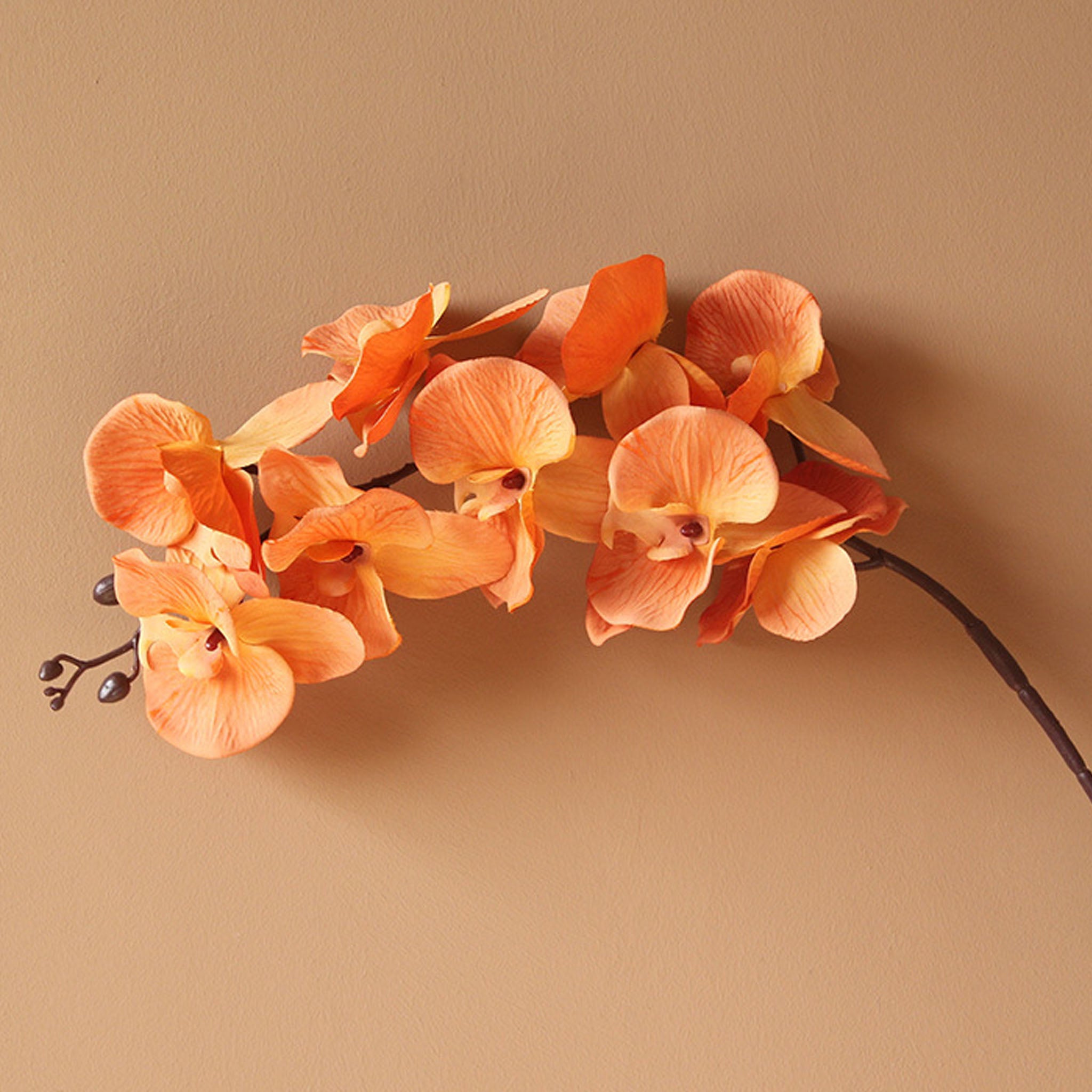 Silk Orchid Artificial Flowers Realistic Phalaenopsis