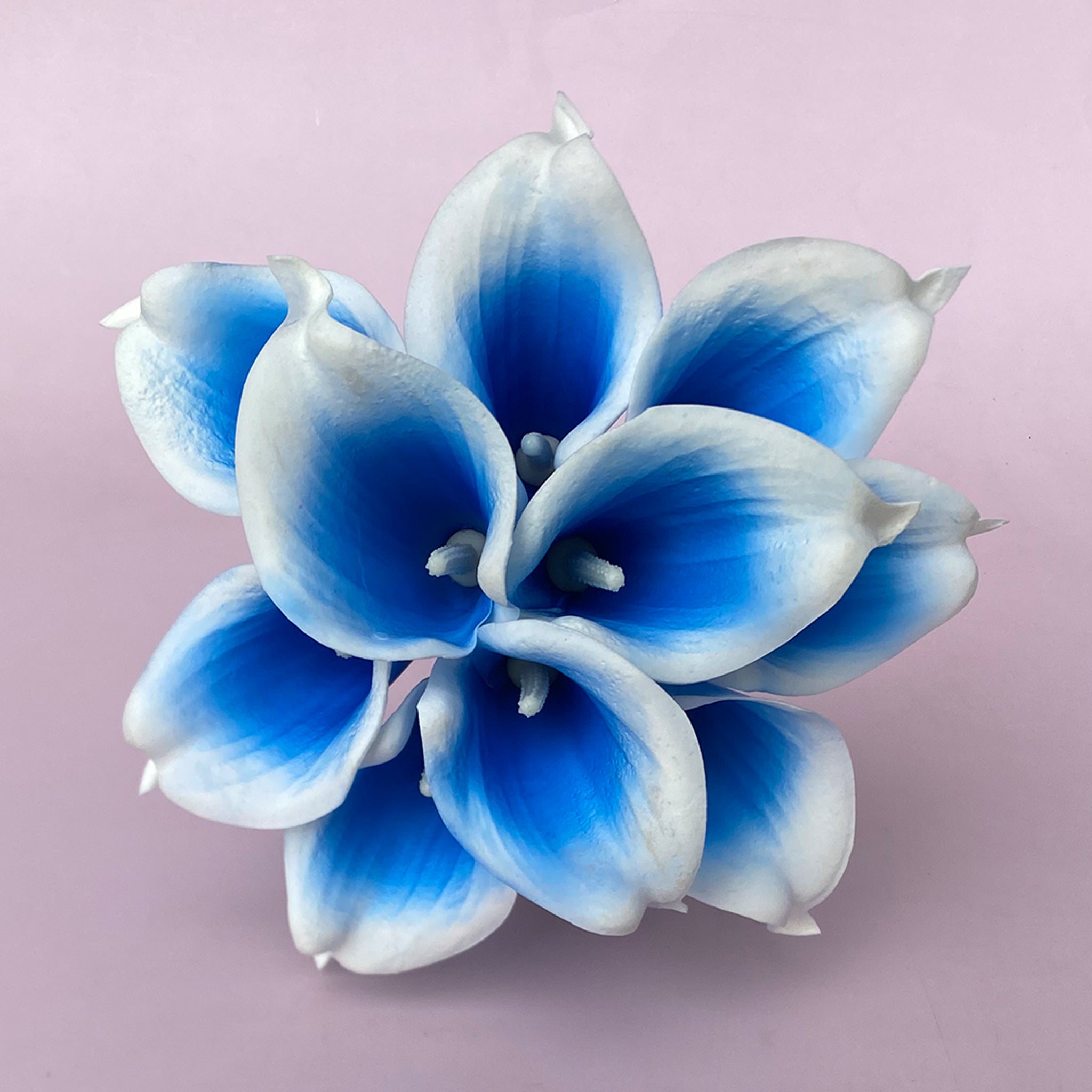 Flower Bouquet for Bridal Bridesmaid Picasso Blue White Calla Lily