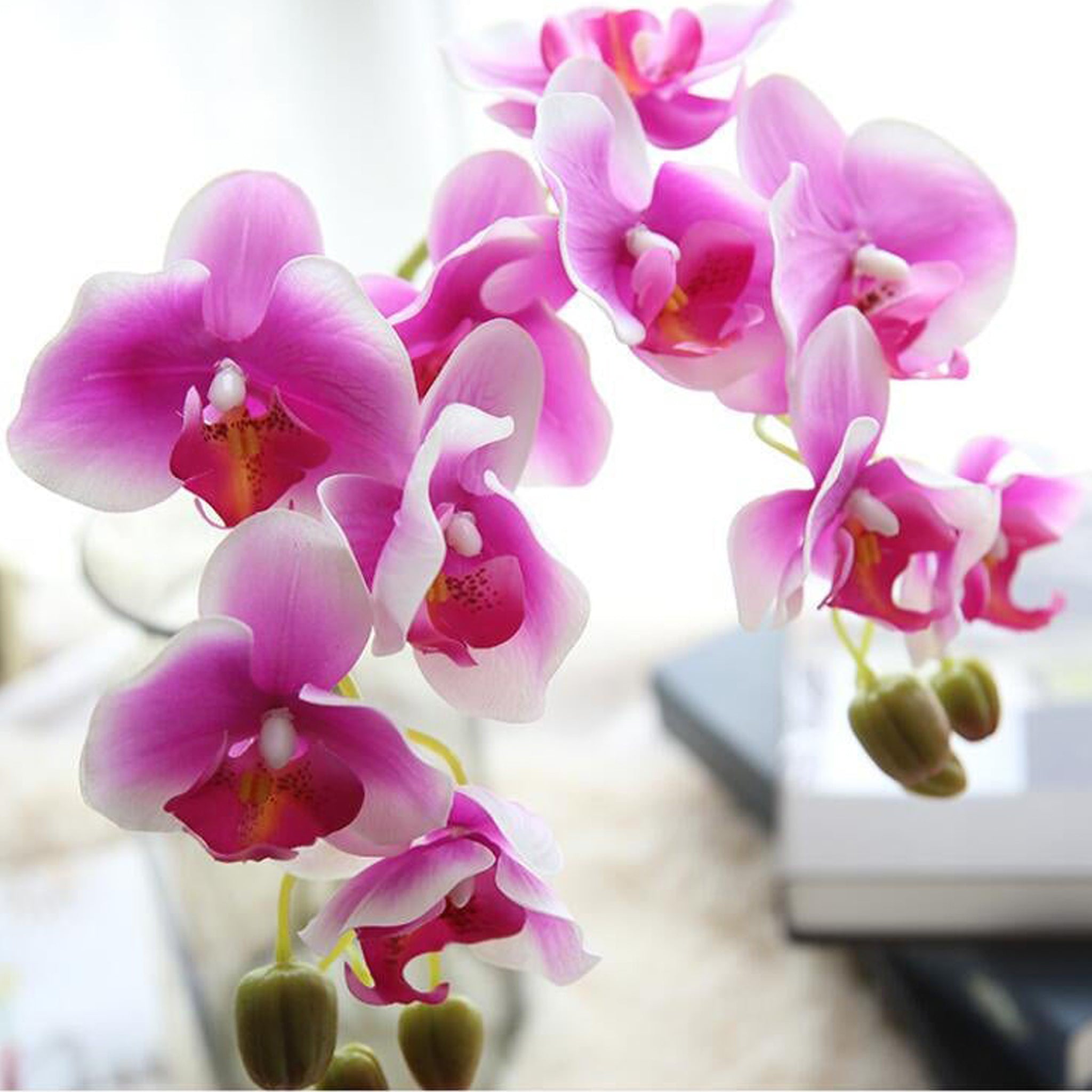 Fake Orchids Flowers White Purple Yellow Fuchsia