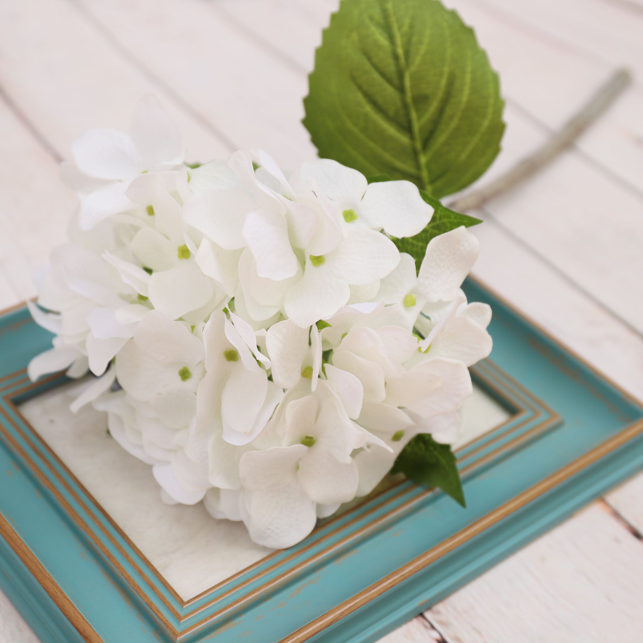 Hydrangea Blooms White Flower for Arrangement