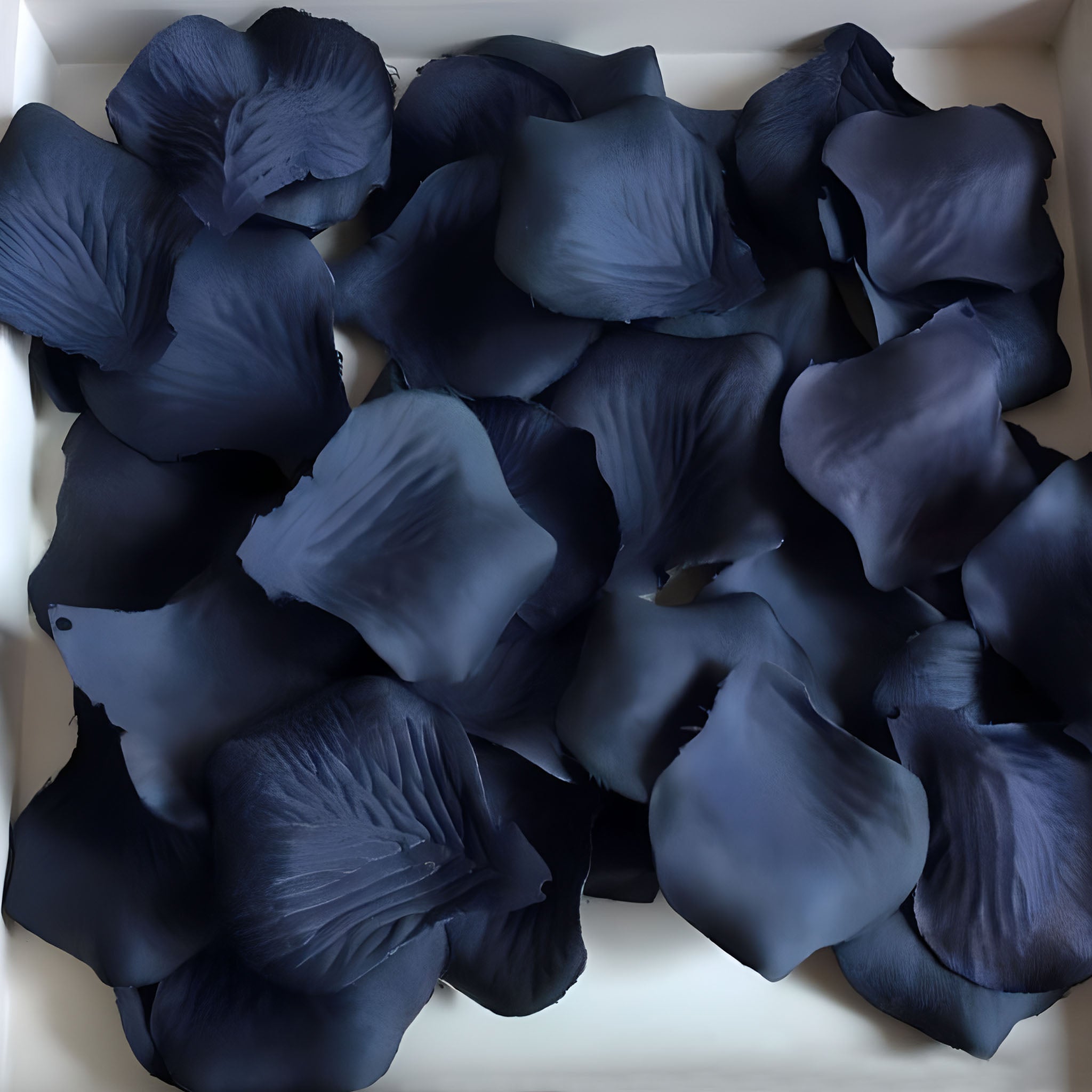 Navy Blue Rose Fake Rose Petals Quality Fabric Petals 500pcs