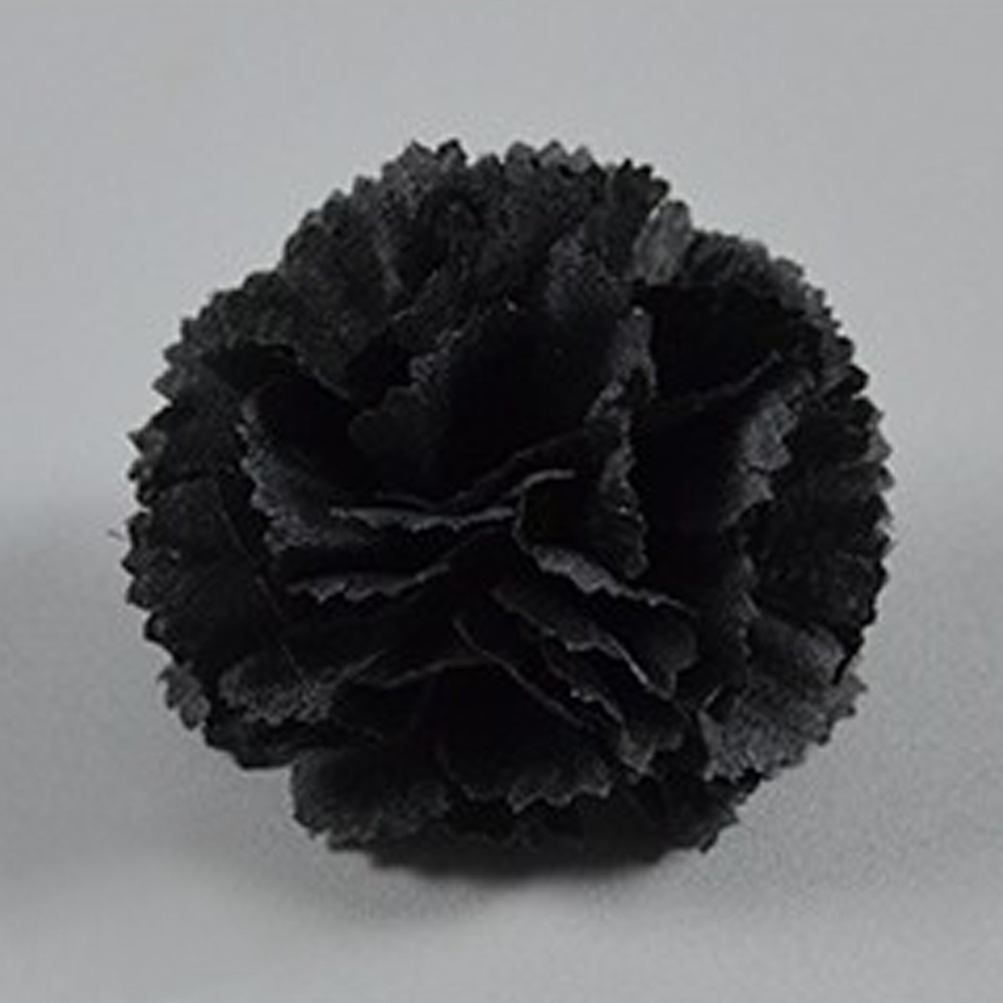 Wholesale Carnation in Bulk Wholesale 100