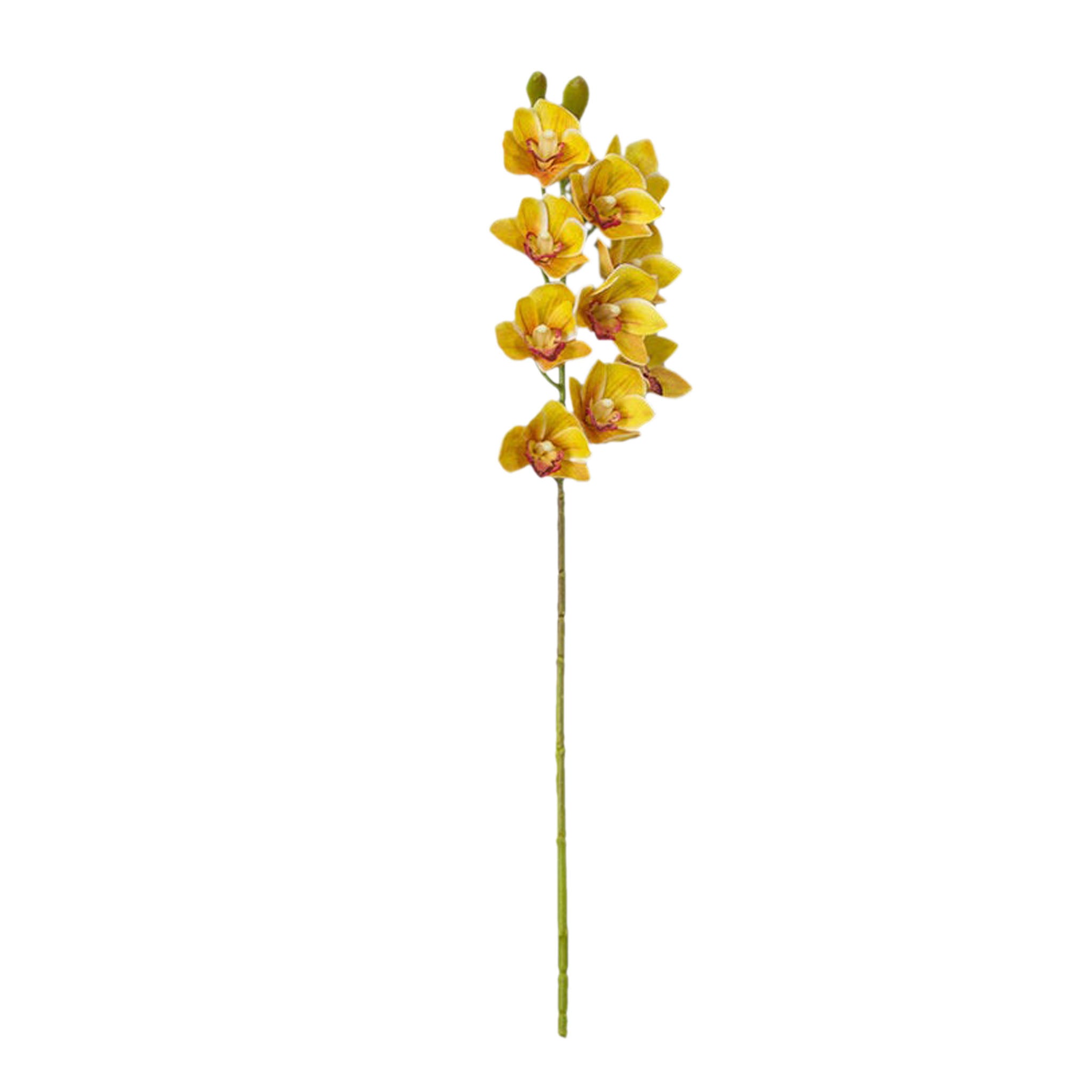 Real Touch 3D Printing Artificial Cymbidium Orchid Flower Latex Flowers