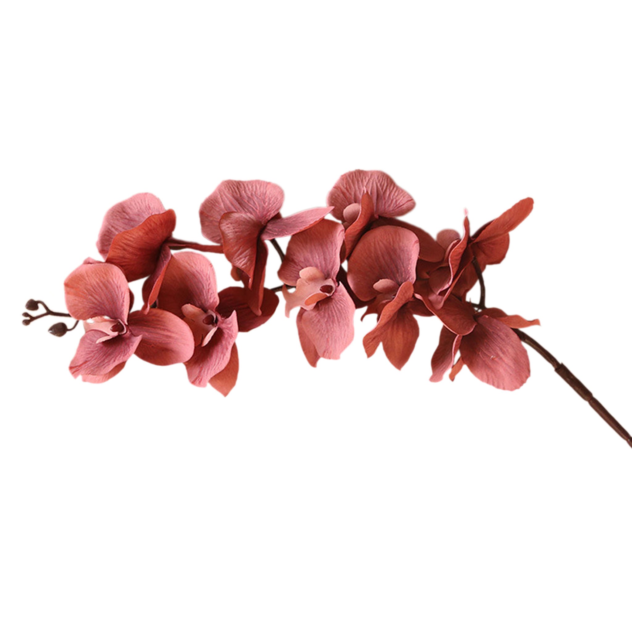 Silk Orchid Artificial Flowers Realistic Phalaenopsis