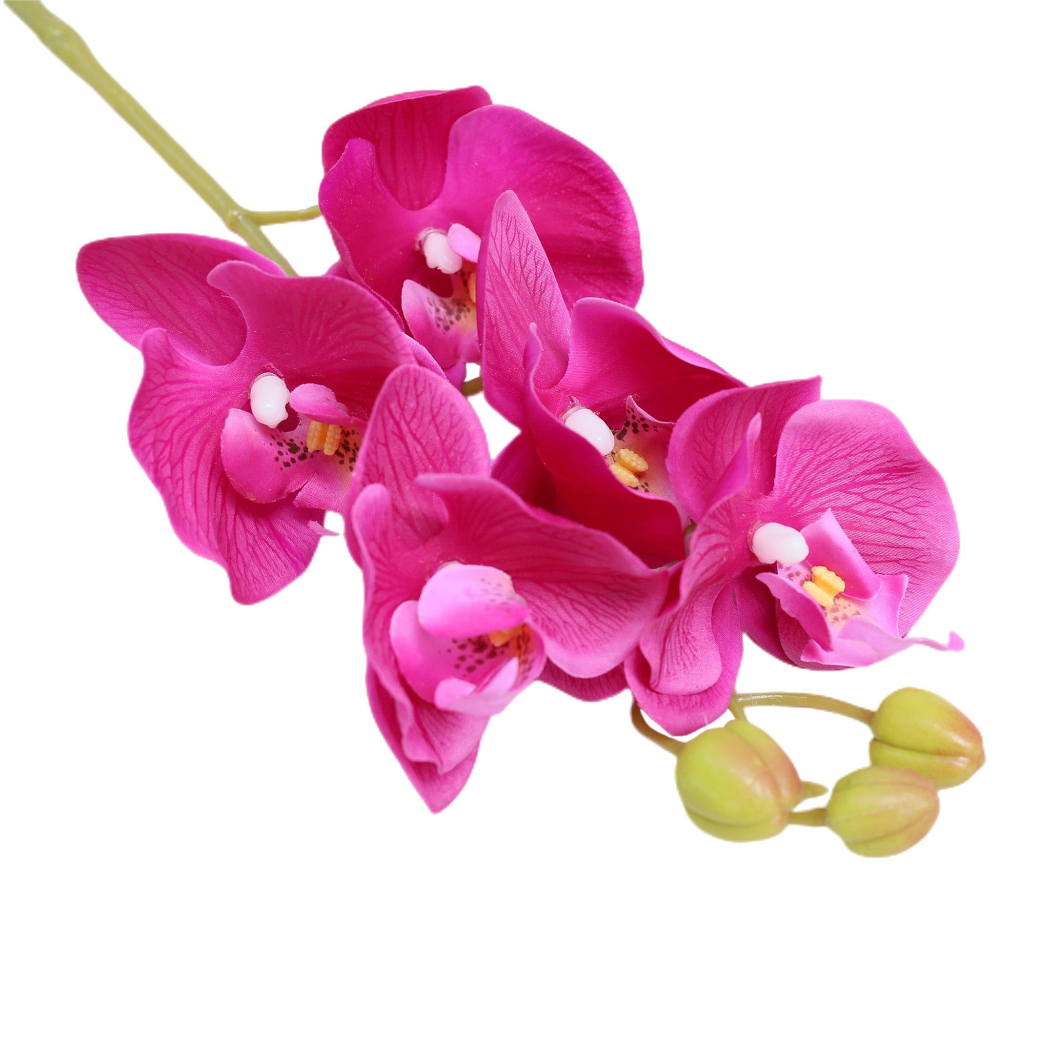 Real Touch Orchids Fake Phalaenopsis Flowers