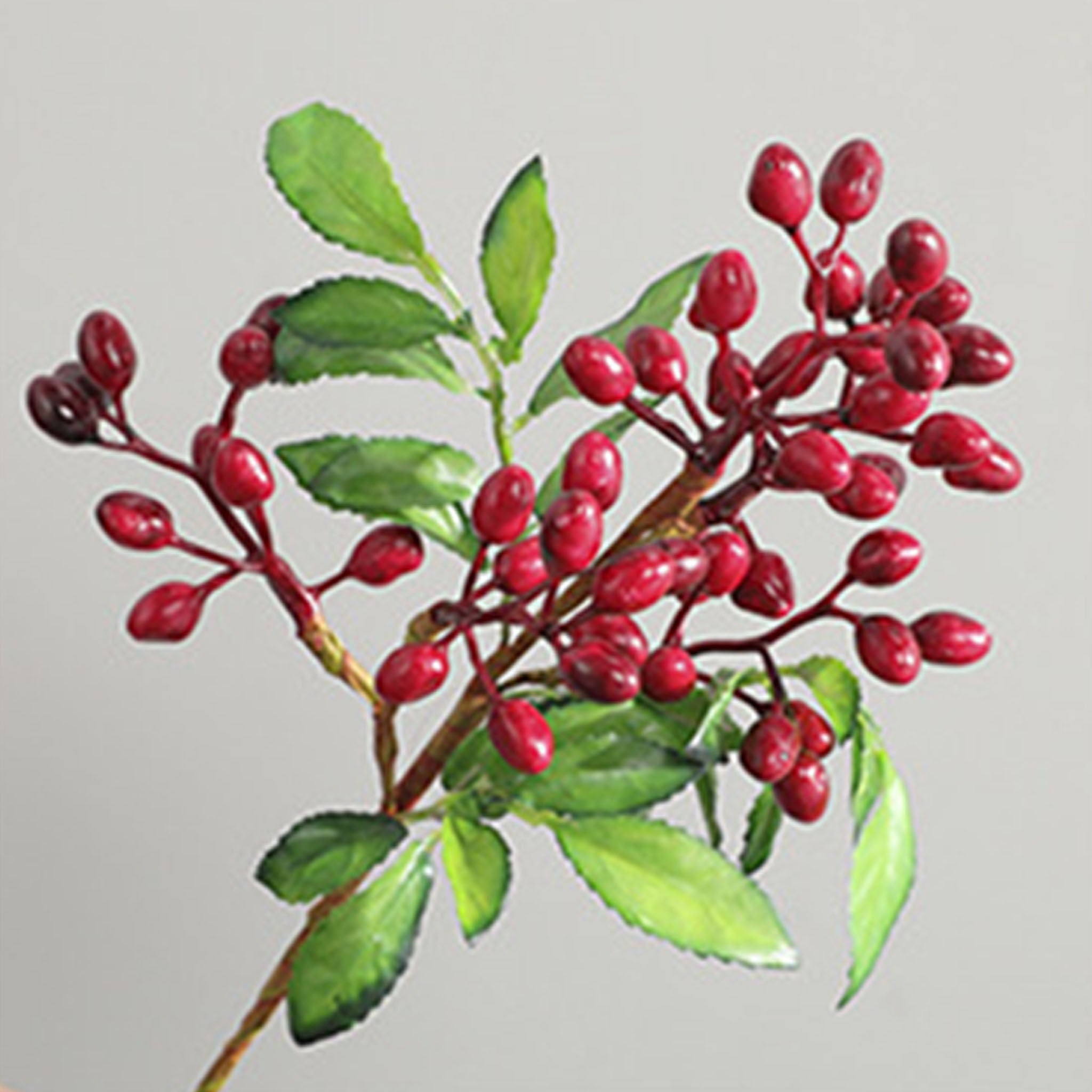 Faux Olive Berry Branch Blueberries with Leaves