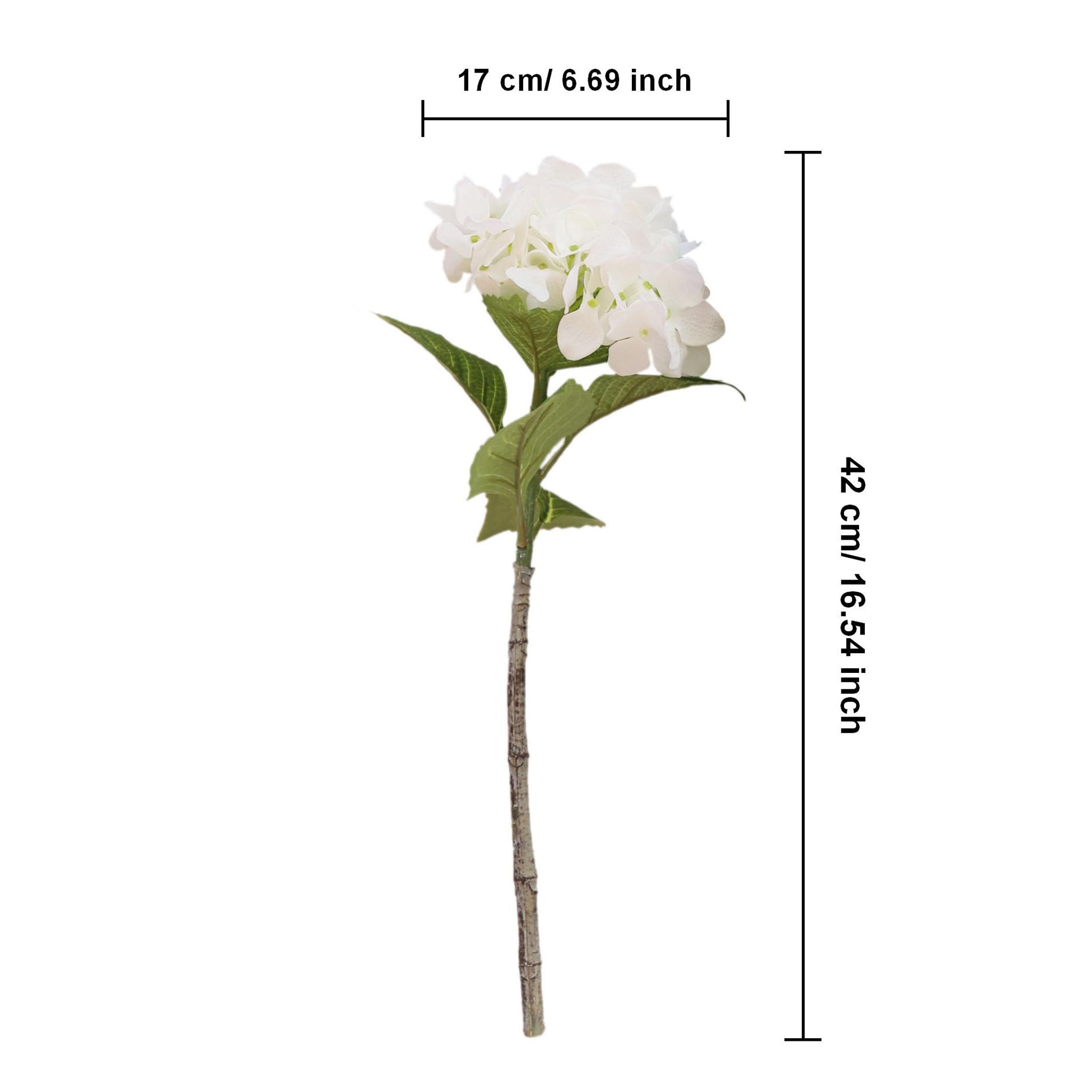 Hydrangea Blooms White Flower for Arrangement
