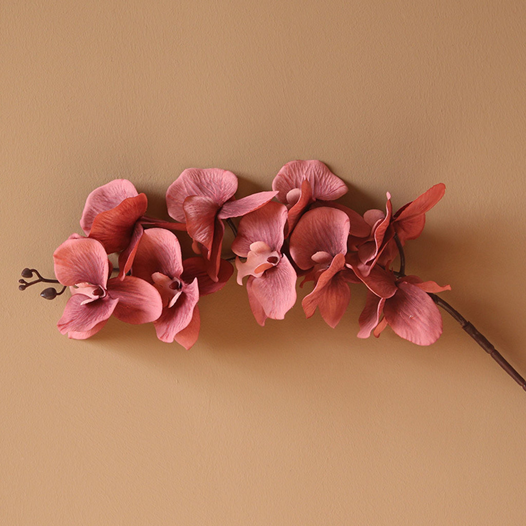 Silk Orchid Artificial Flowers Realistic Phalaenopsis