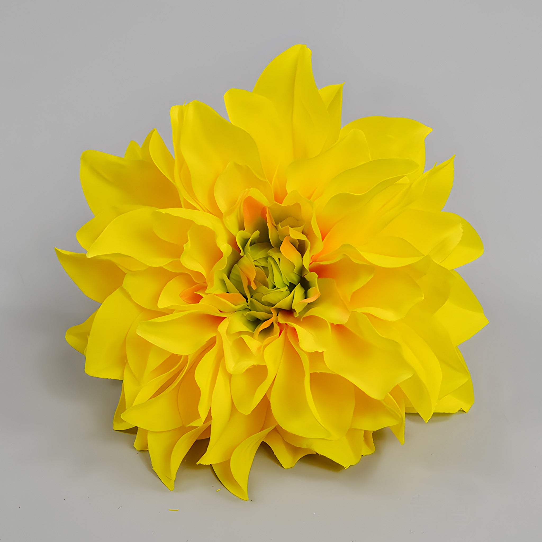 Wholesale Bulk Large Silk Dahlia Flowers 16cm