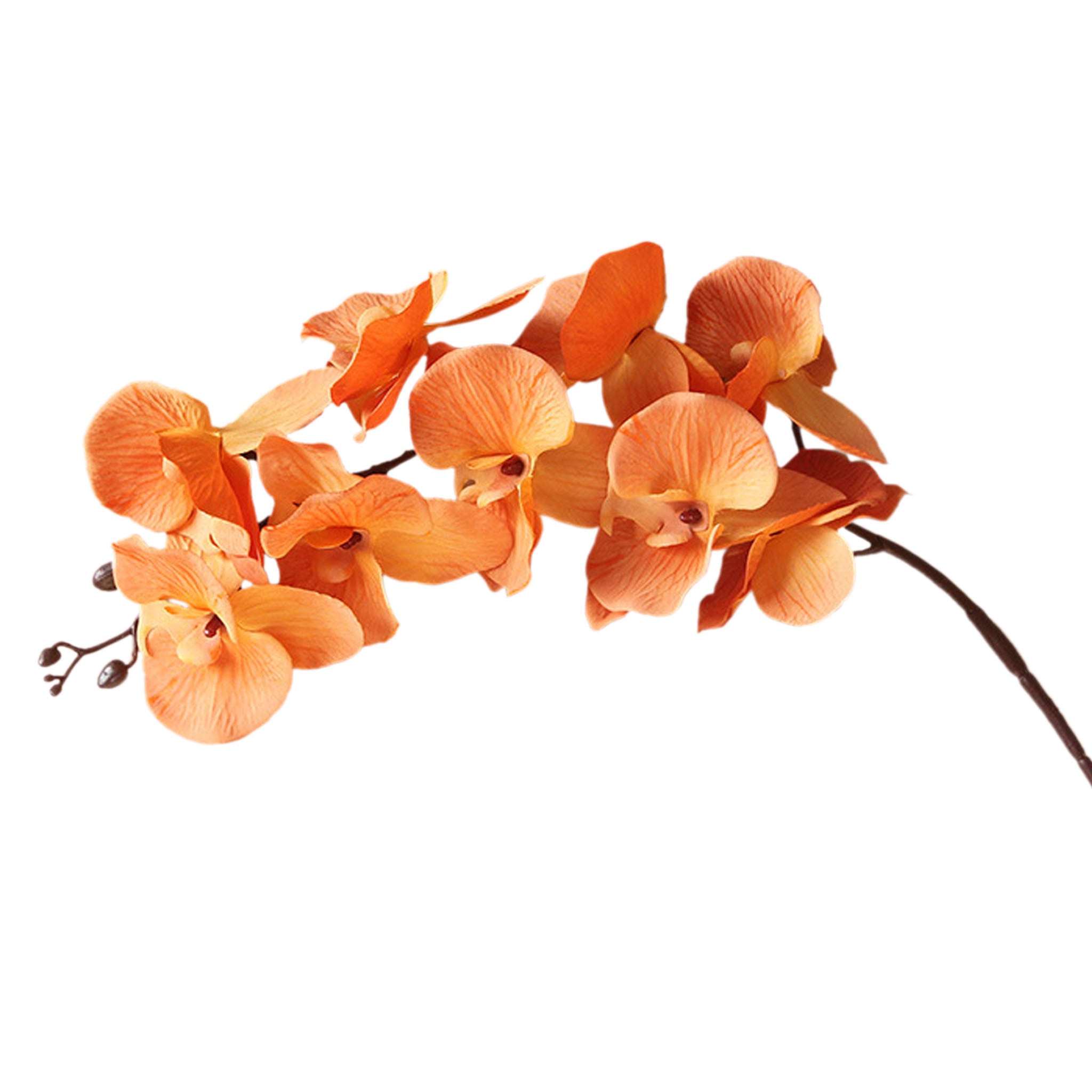 Silk Orchid Artificial Flowers Realistic Phalaenopsis