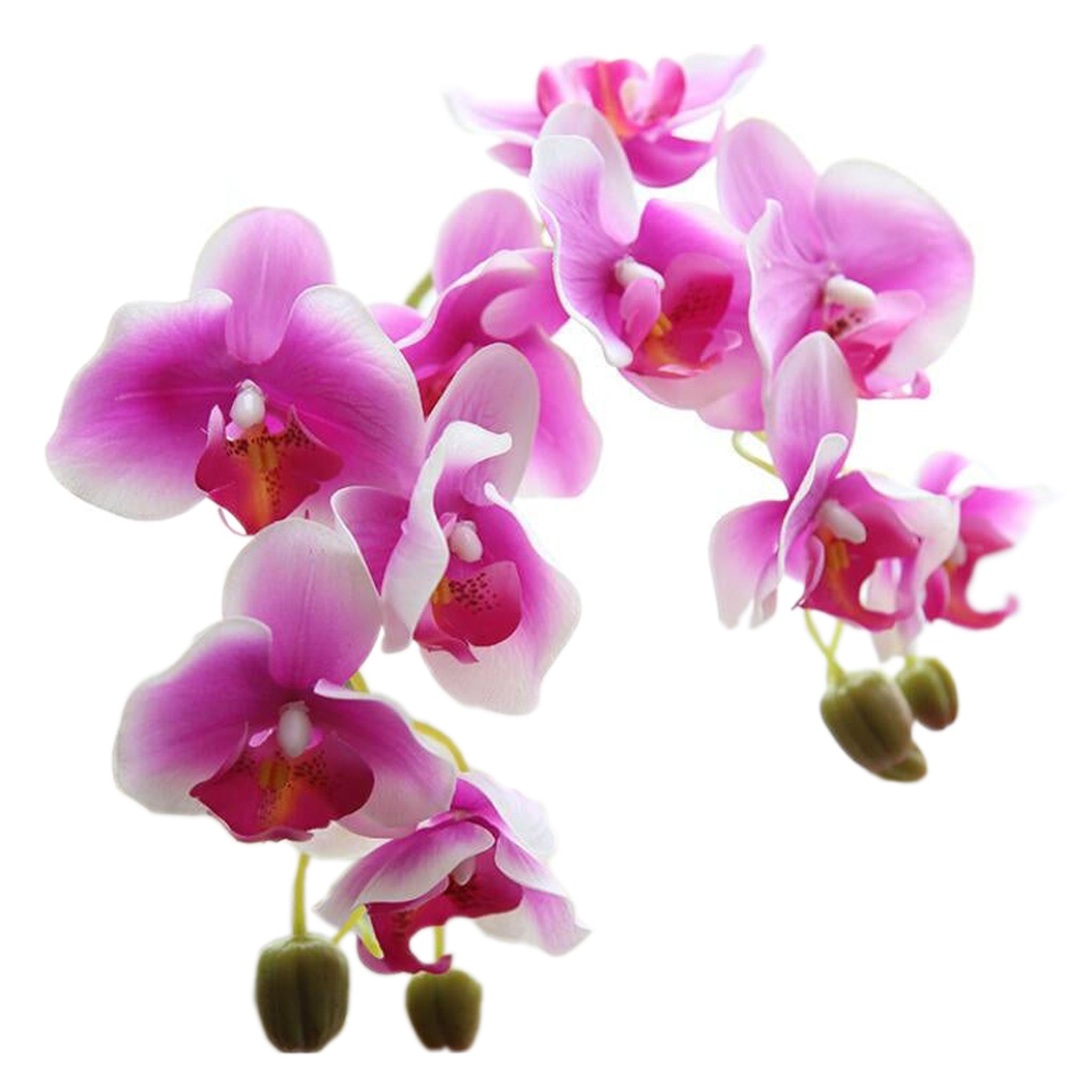 Fake Orchids Flowers White Purple Yellow Fuchsia