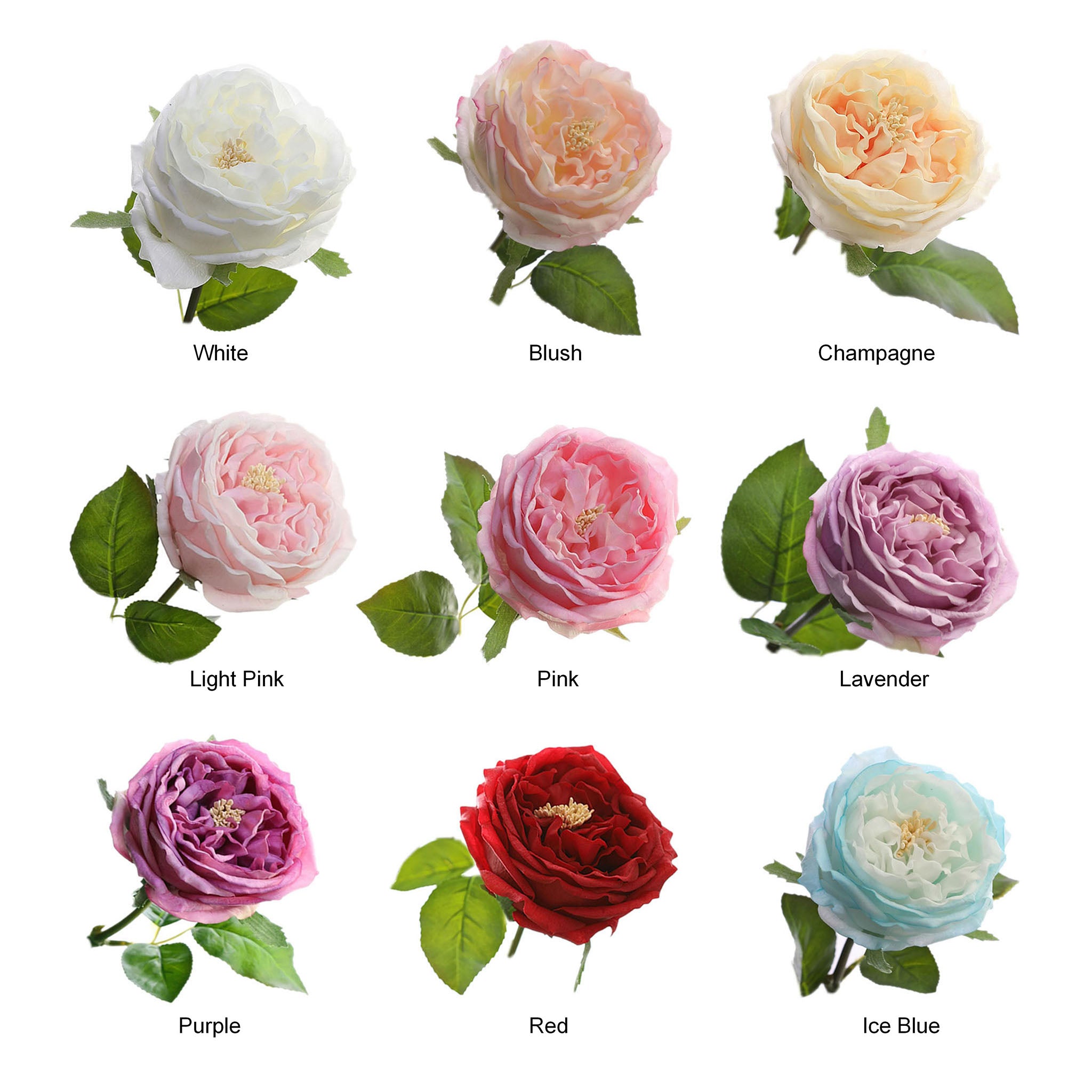 Austin Cabbage Roses Real Touch Flowers