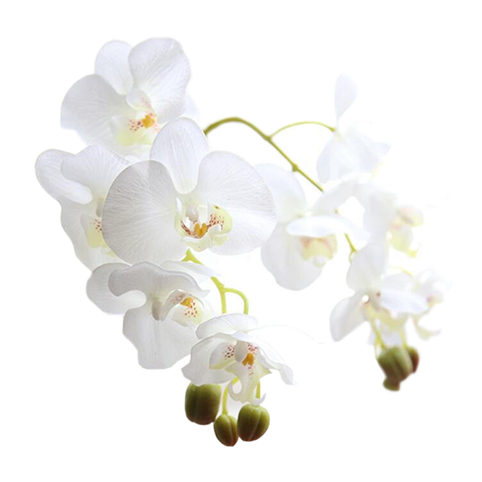 Fake Orchids Flowers White Purple Yellow Fuchsia