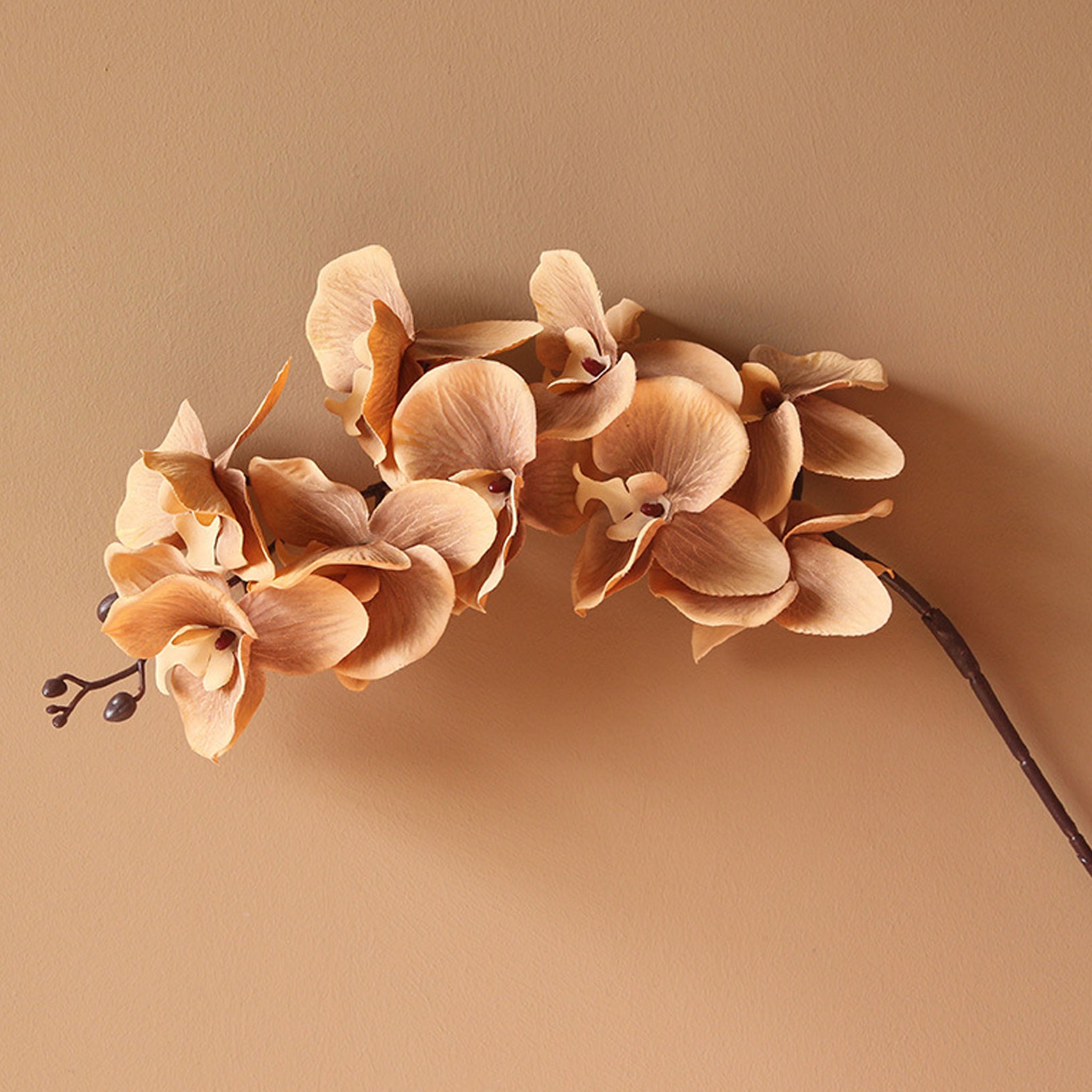 Silk Orchid Artificial Flowers Realistic Phalaenopsis