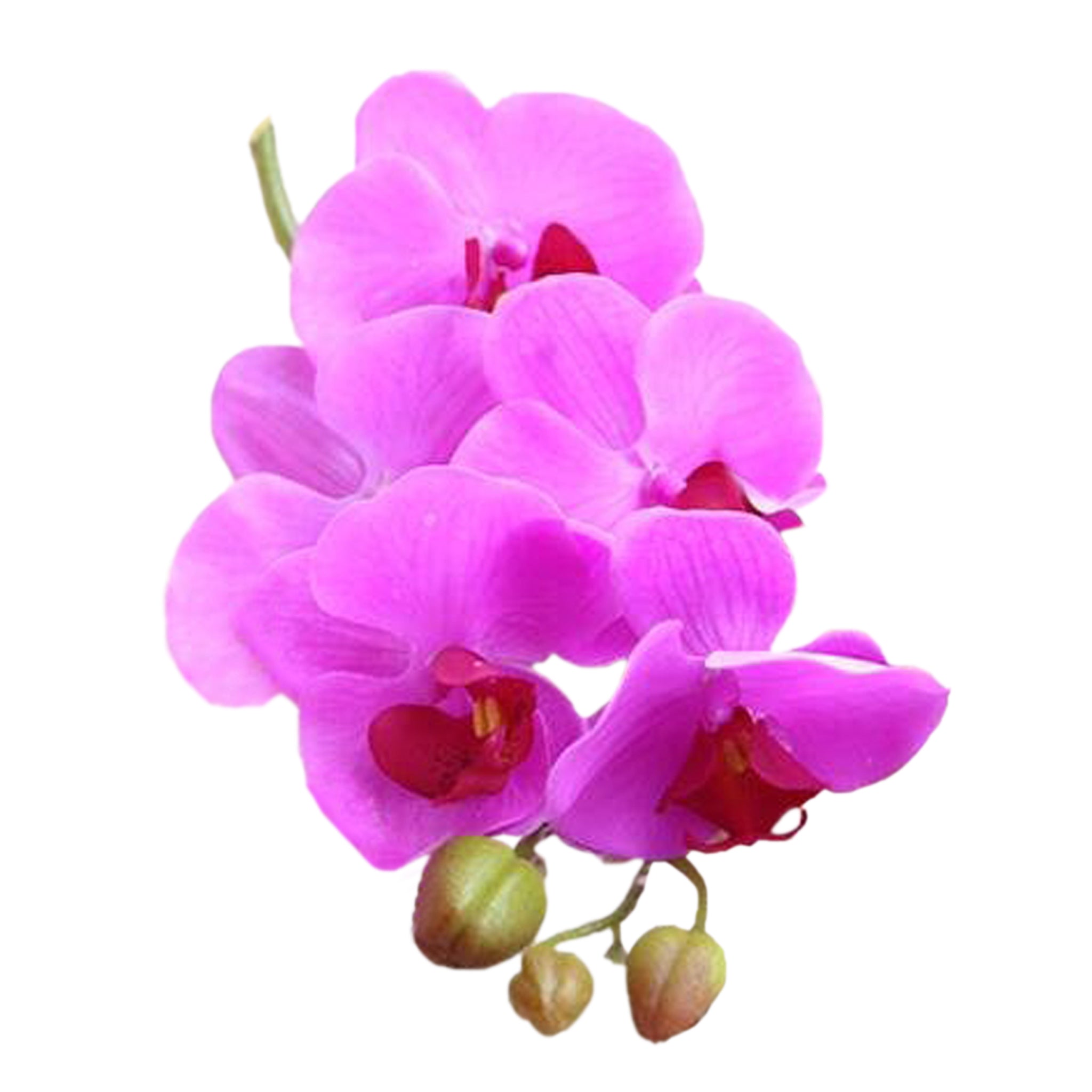 Fake Orchids Flowers White Purple Yellow Fuchsia