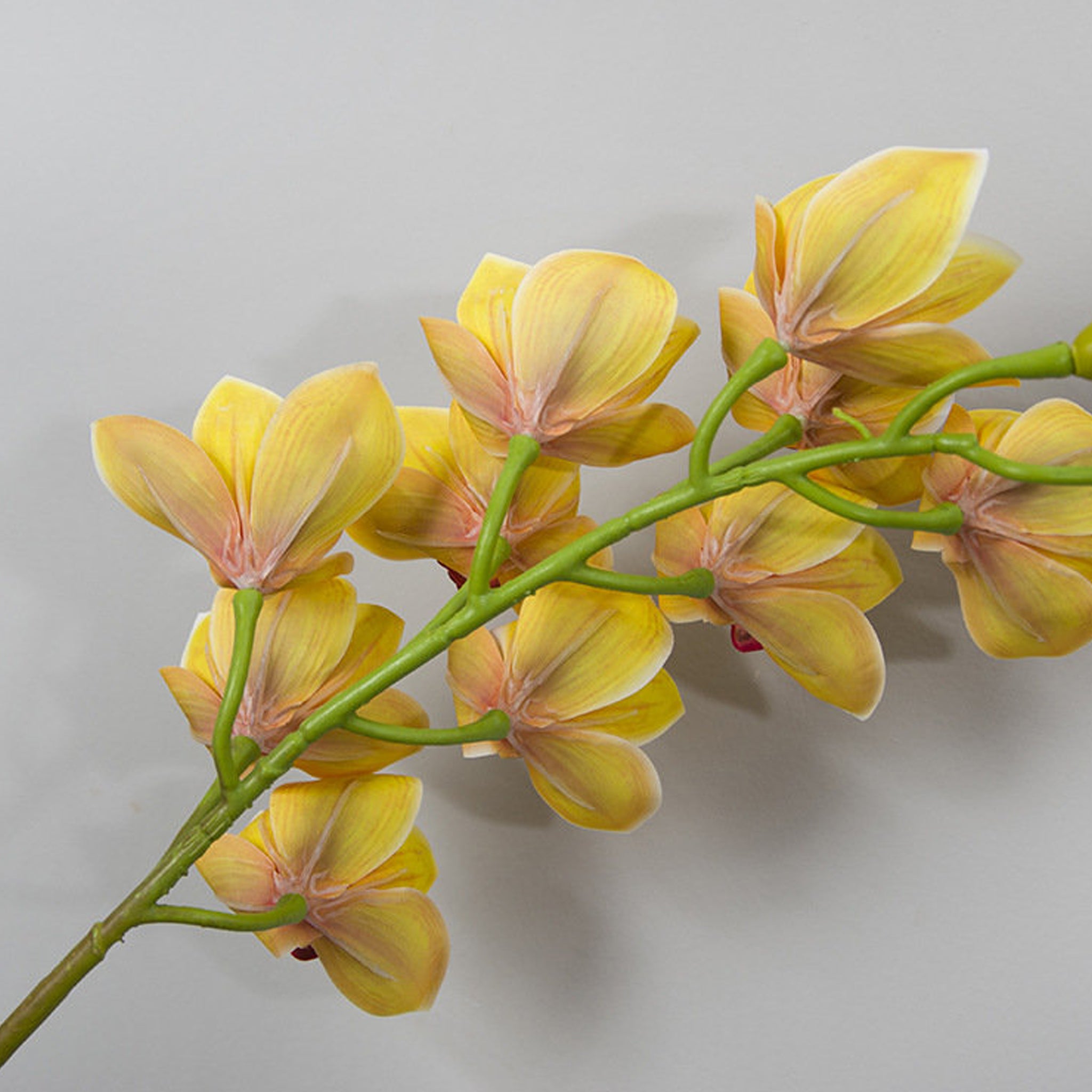 Real Touch 3D Printing Artificial Cymbidium Orchid Flower Latex Flowers