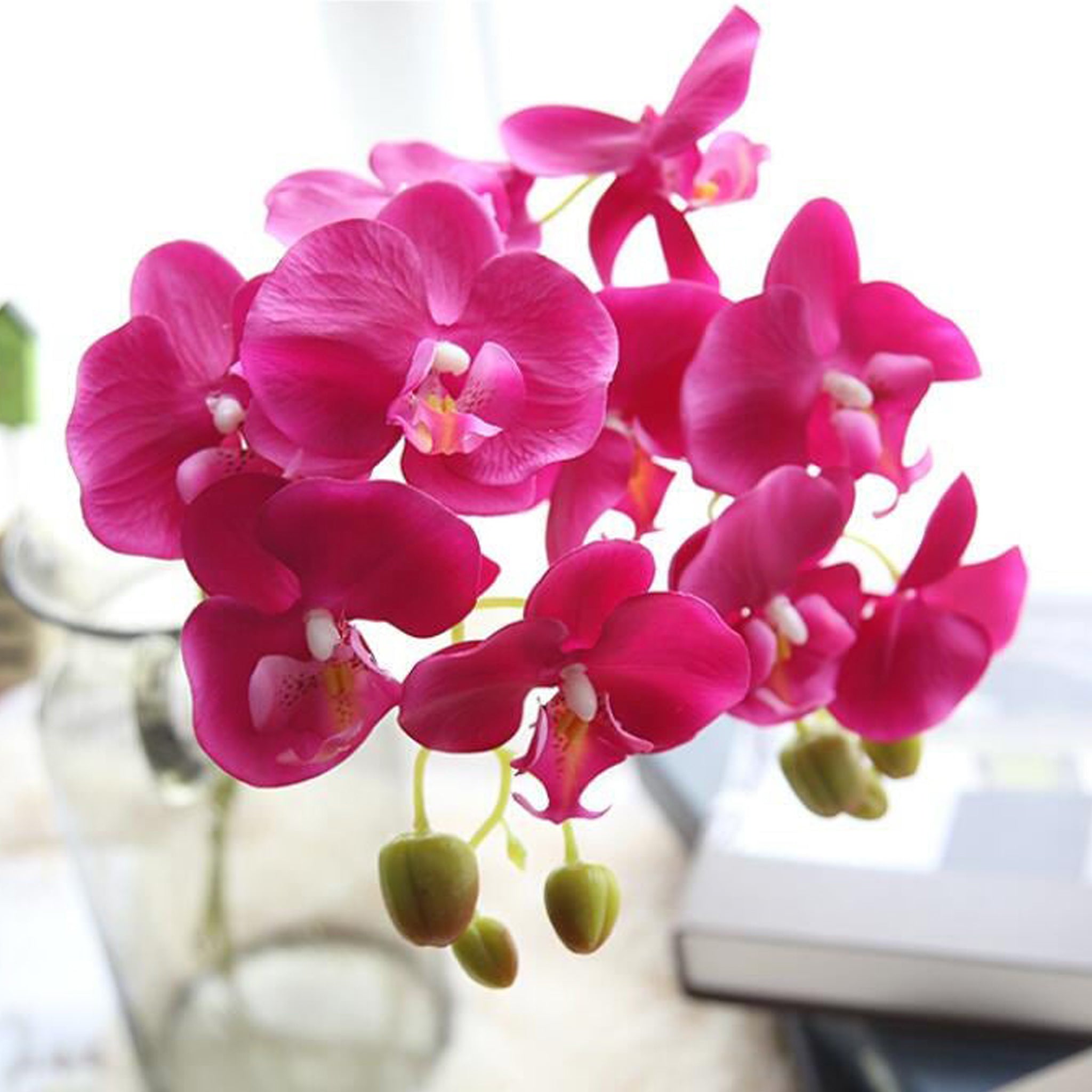 Fake Orchids Flowers White Purple Yellow Fuchsia