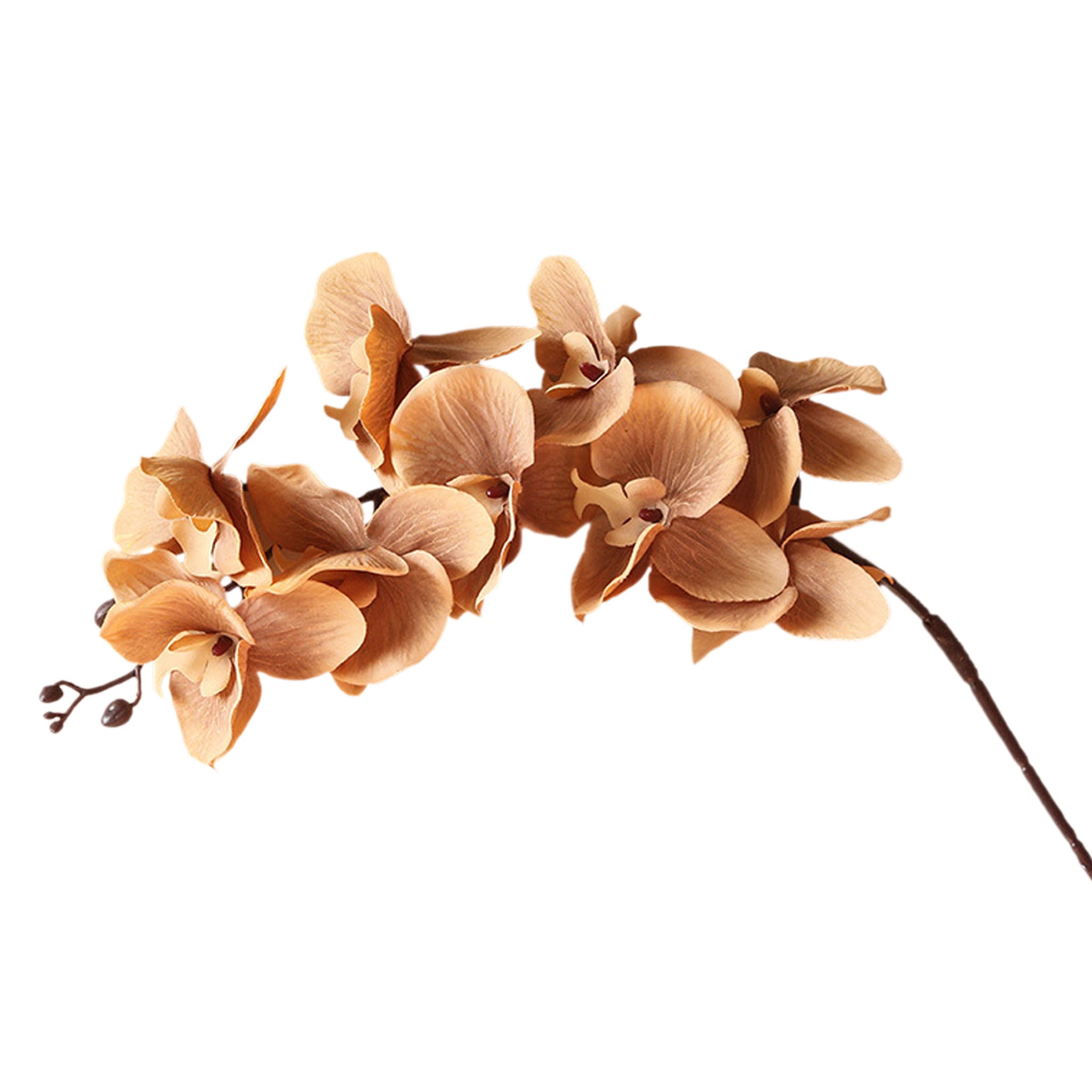 Silk Orchid Artificial Flowers Realistic Phalaenopsis