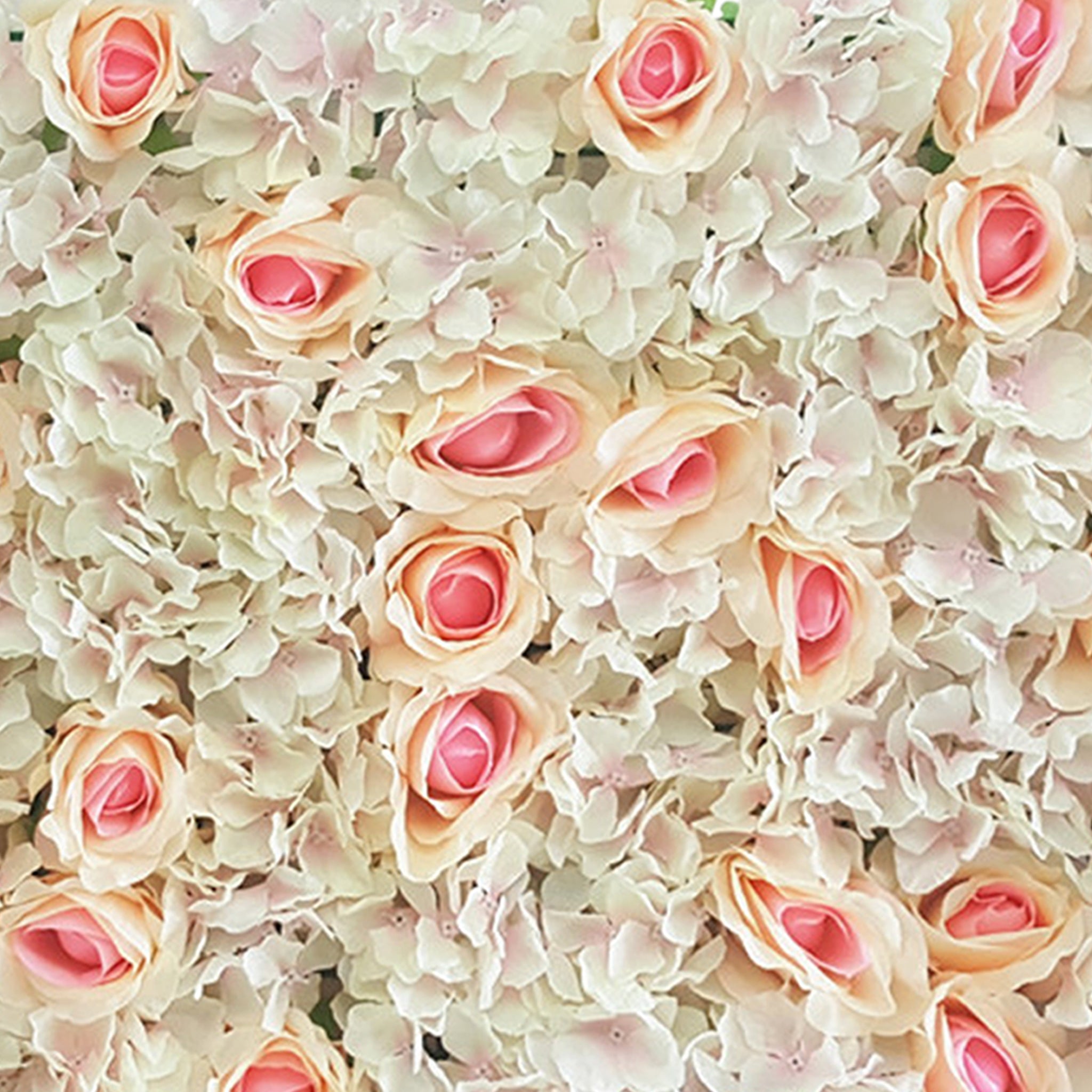 Wedding Photography Background Champagne Hydrangea Backdrops Panels