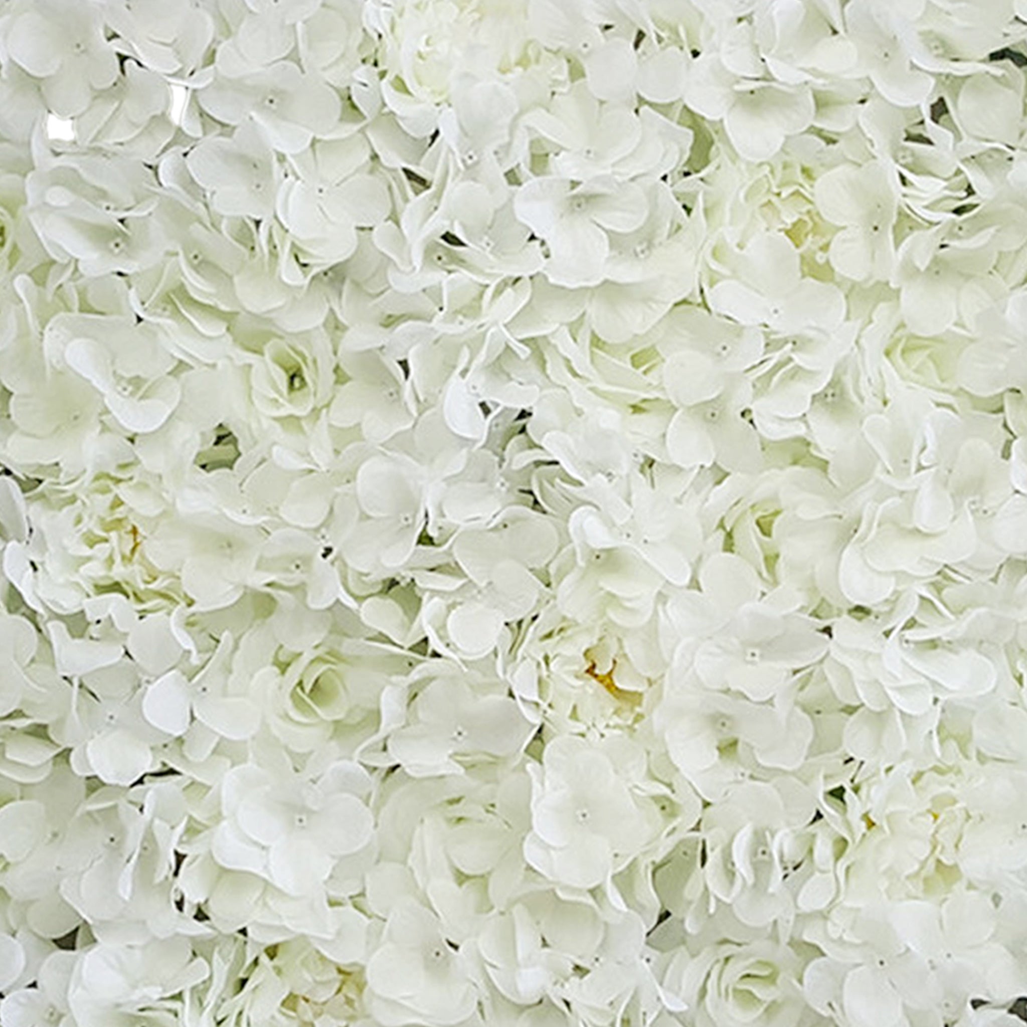 Cream White Flower Backdrops Silk Rose Hydrangea Artificial Flower Panel