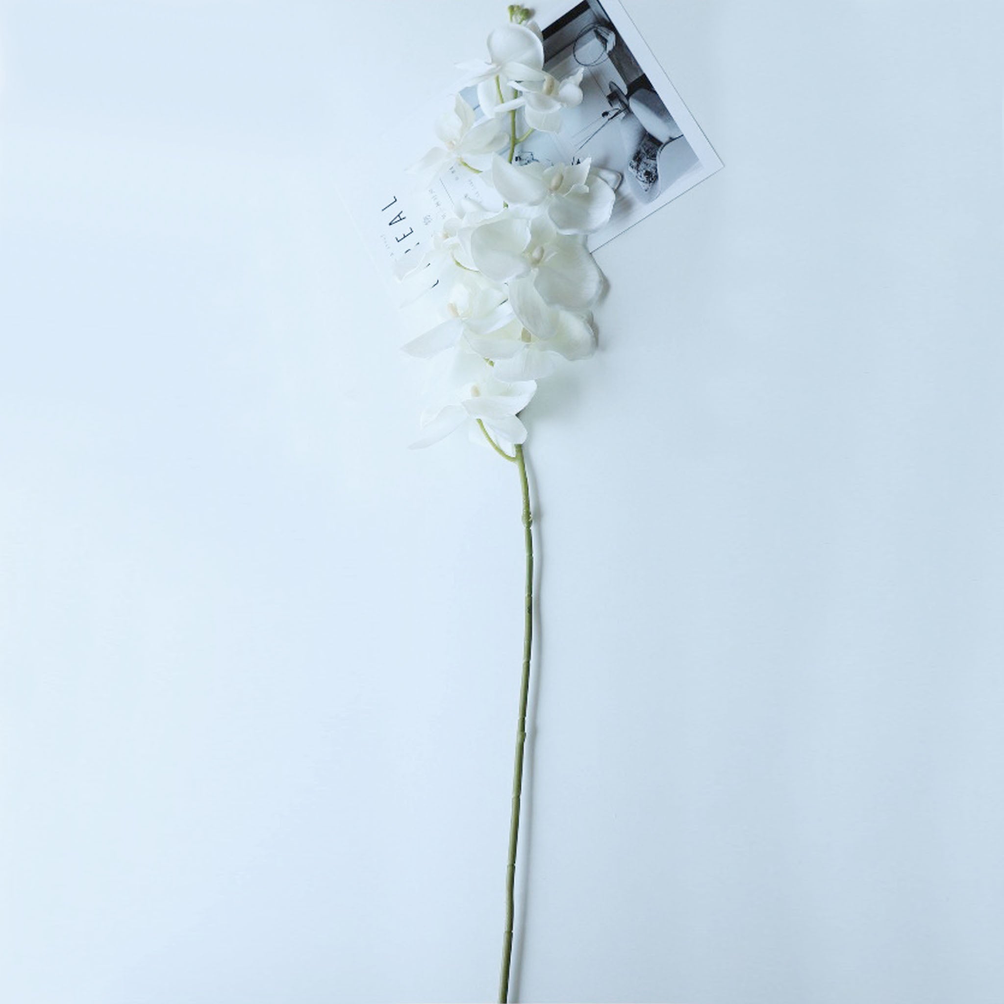 Fake Orchid Cream Phalaenopsis White Wedding Flowers