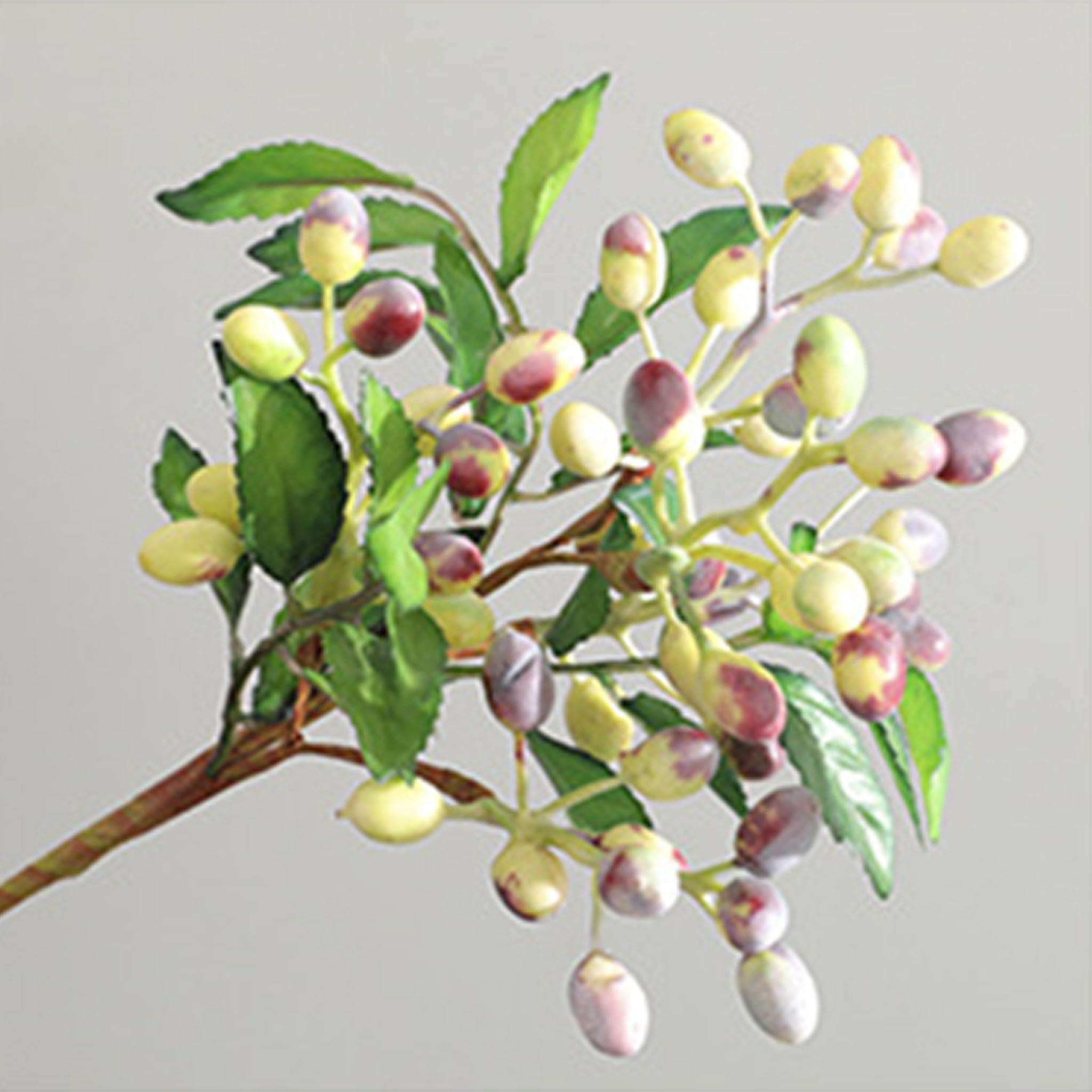 Faux Olive Berry Branch Blueberries with Leaves