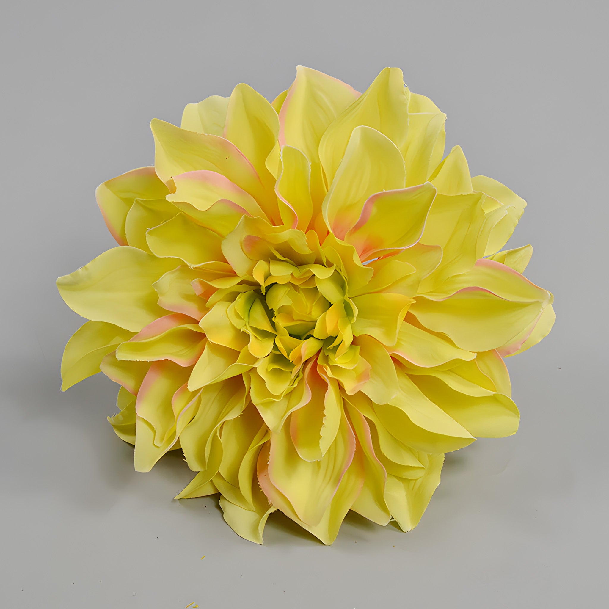 Wholesale Bulk Large Silk Dahlia Flowers 16cm