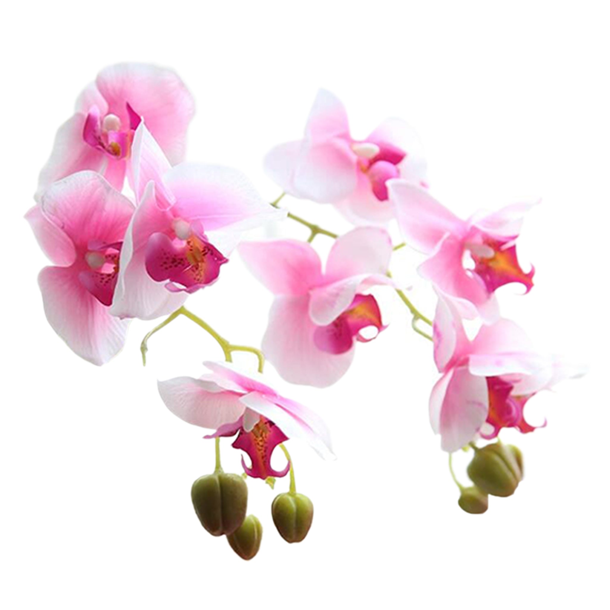 Fake Orchids Flowers White Purple Yellow Fuchsia