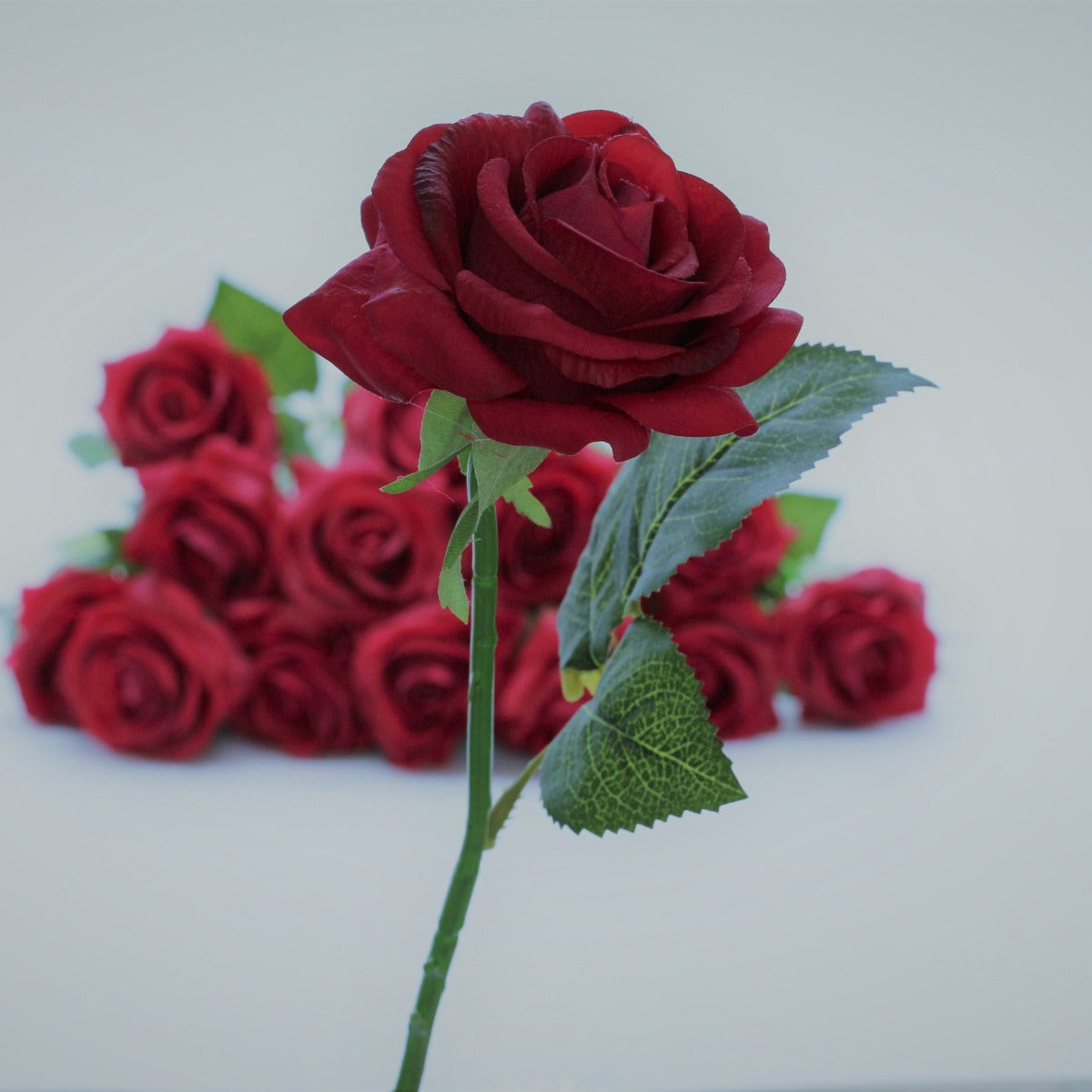 Dark Red Flowers Real Touch Roses Burgundy for Wedding Floral Decor 10pcs