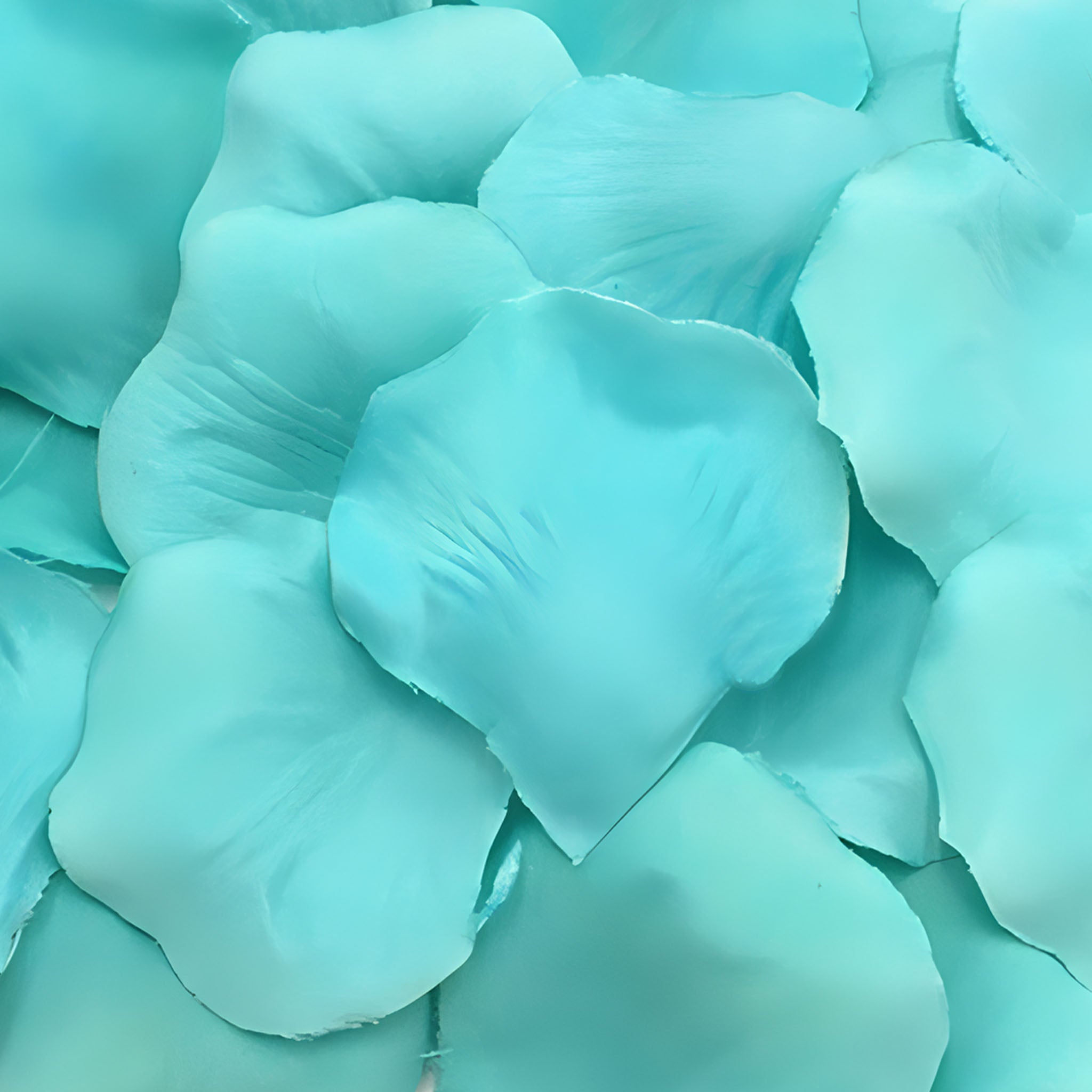 Turquoise Green Flower Petals Fabric Fake Rose Petals 500pcs