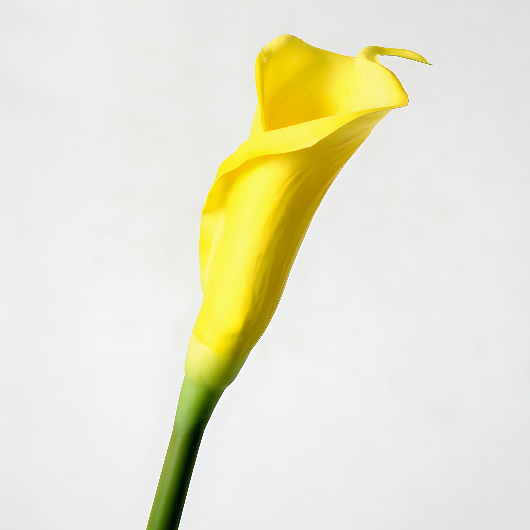 Large Calla Lily Artificial Flowers Tall Calla Lilies