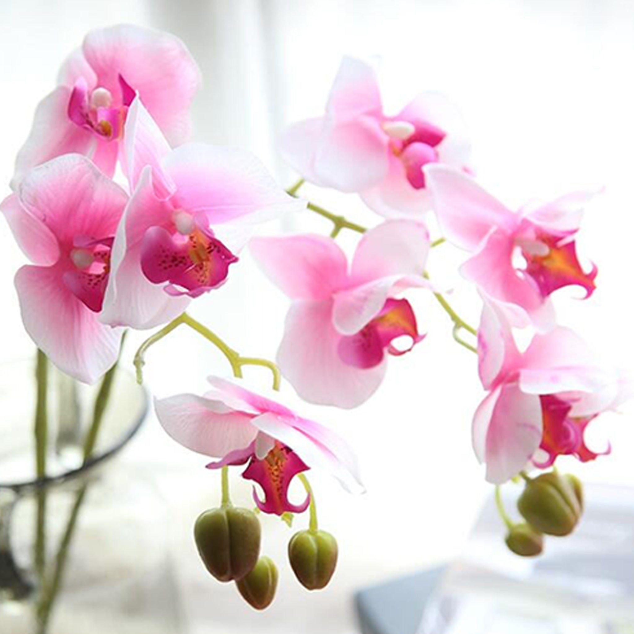Fake Orchids Flowers White Purple Yellow Fuchsia