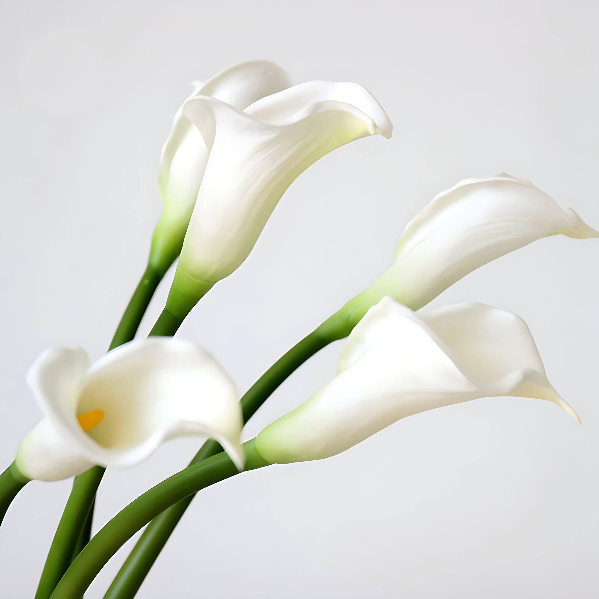 Large Calla Lily Artificial Flowers Tall Calla Lilies