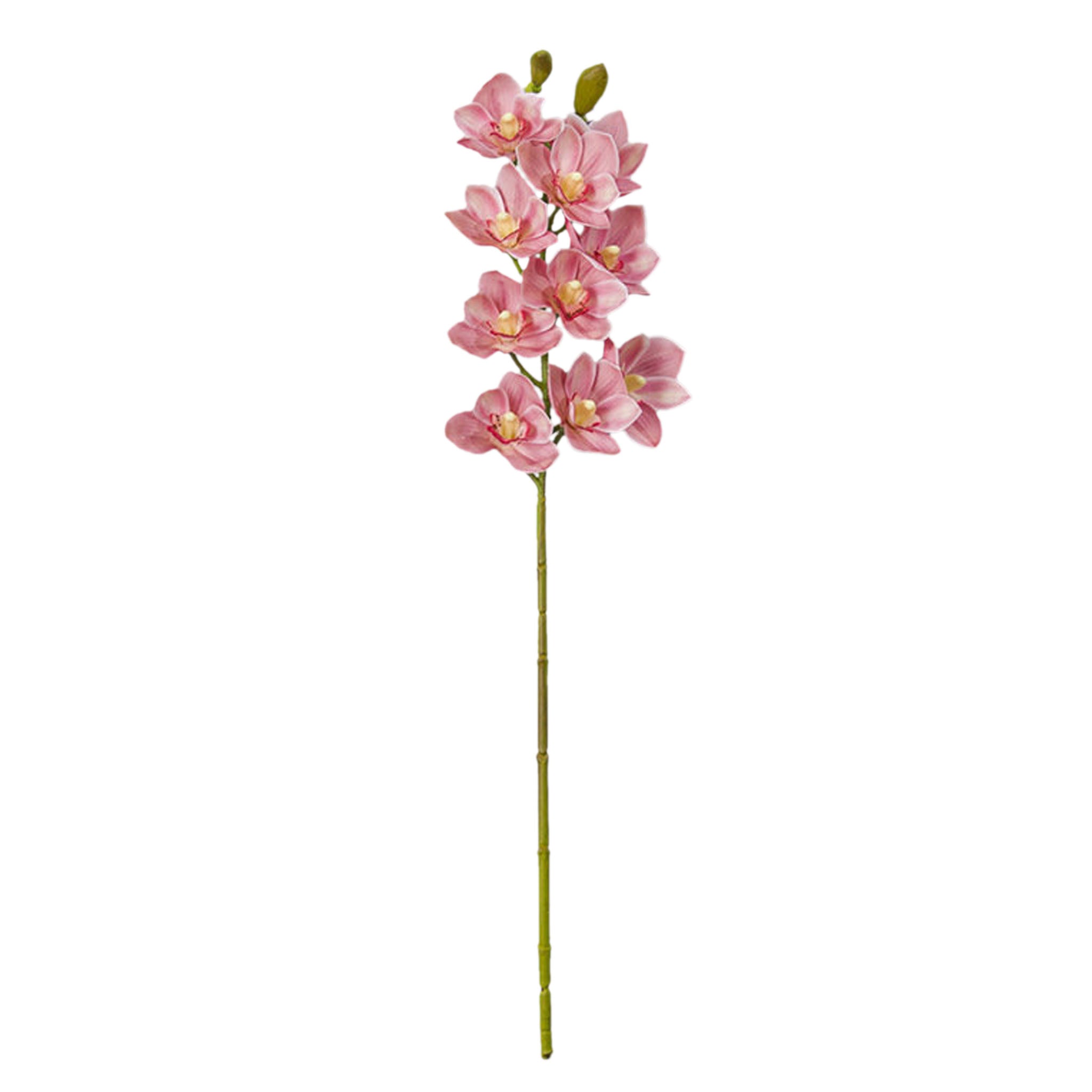 Real Touch 3D Printing Artificial Cymbidium Orchid Flower Latex Flowers