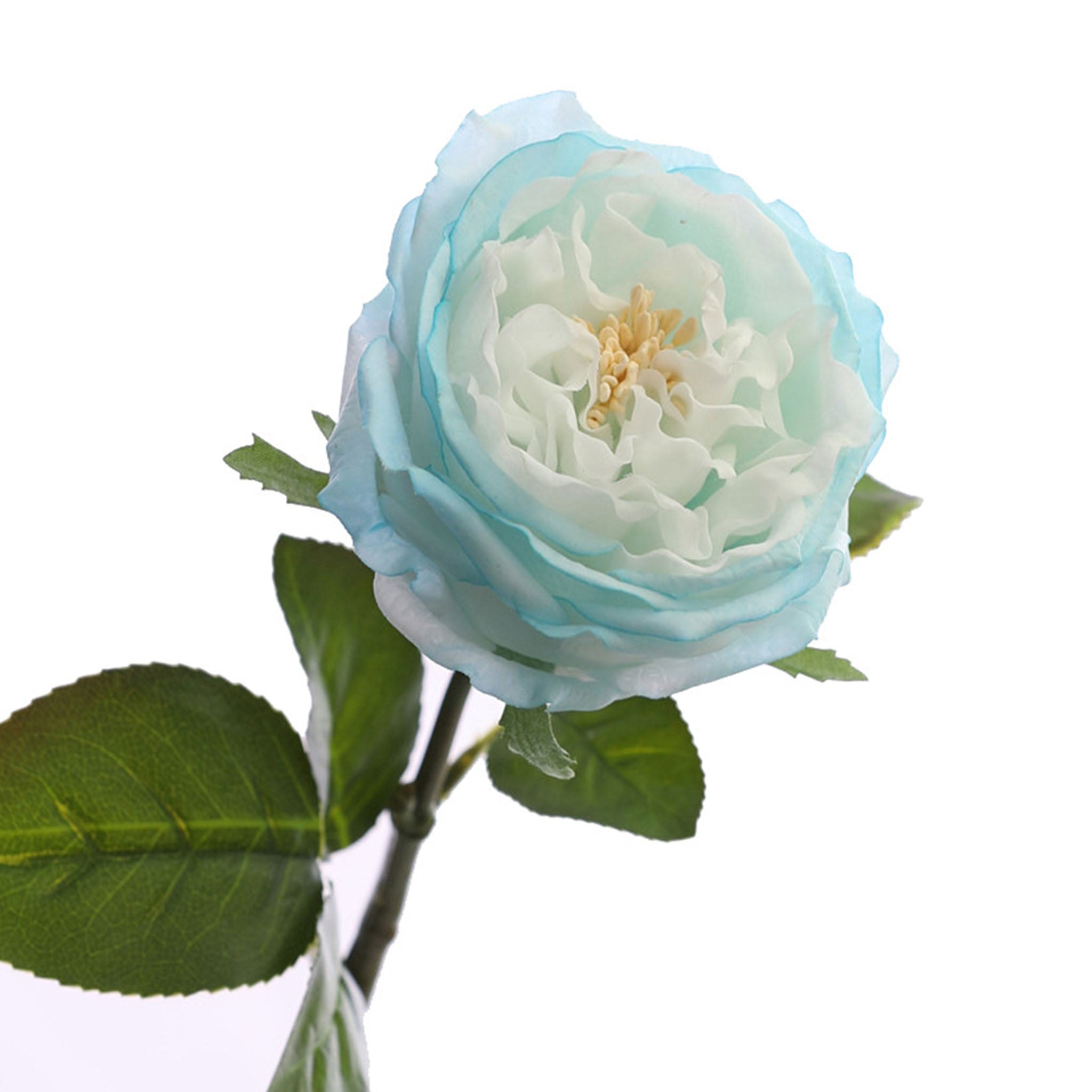 Austin Cabbage Roses Real Touch Flowers