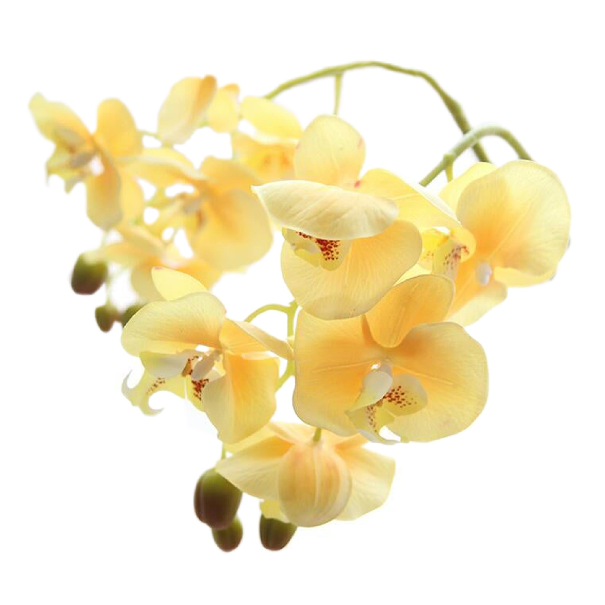 Fake Orchids Flowers White Purple Yellow Fuchsia