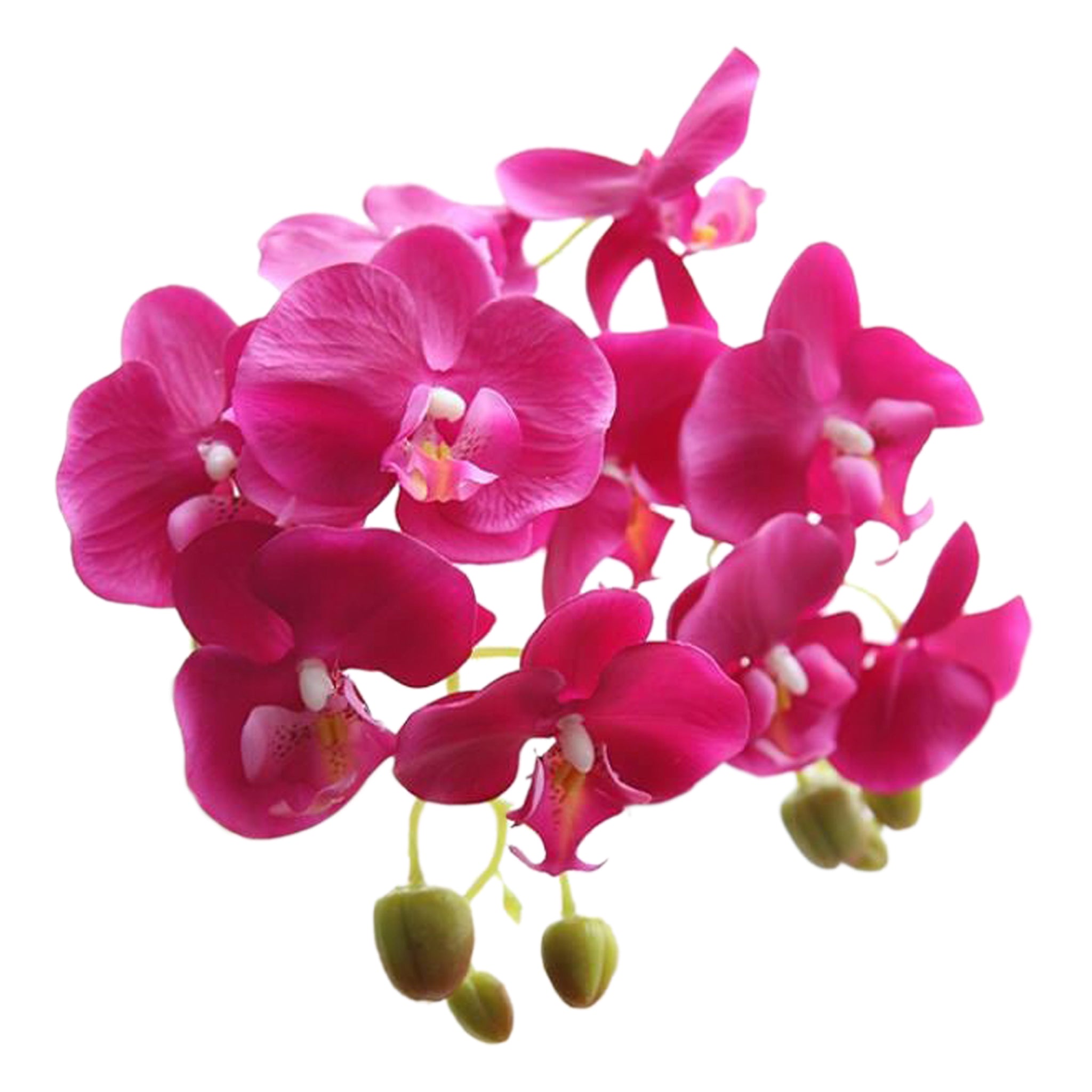 Fake Orchids Flowers White Purple Yellow Fuchsia