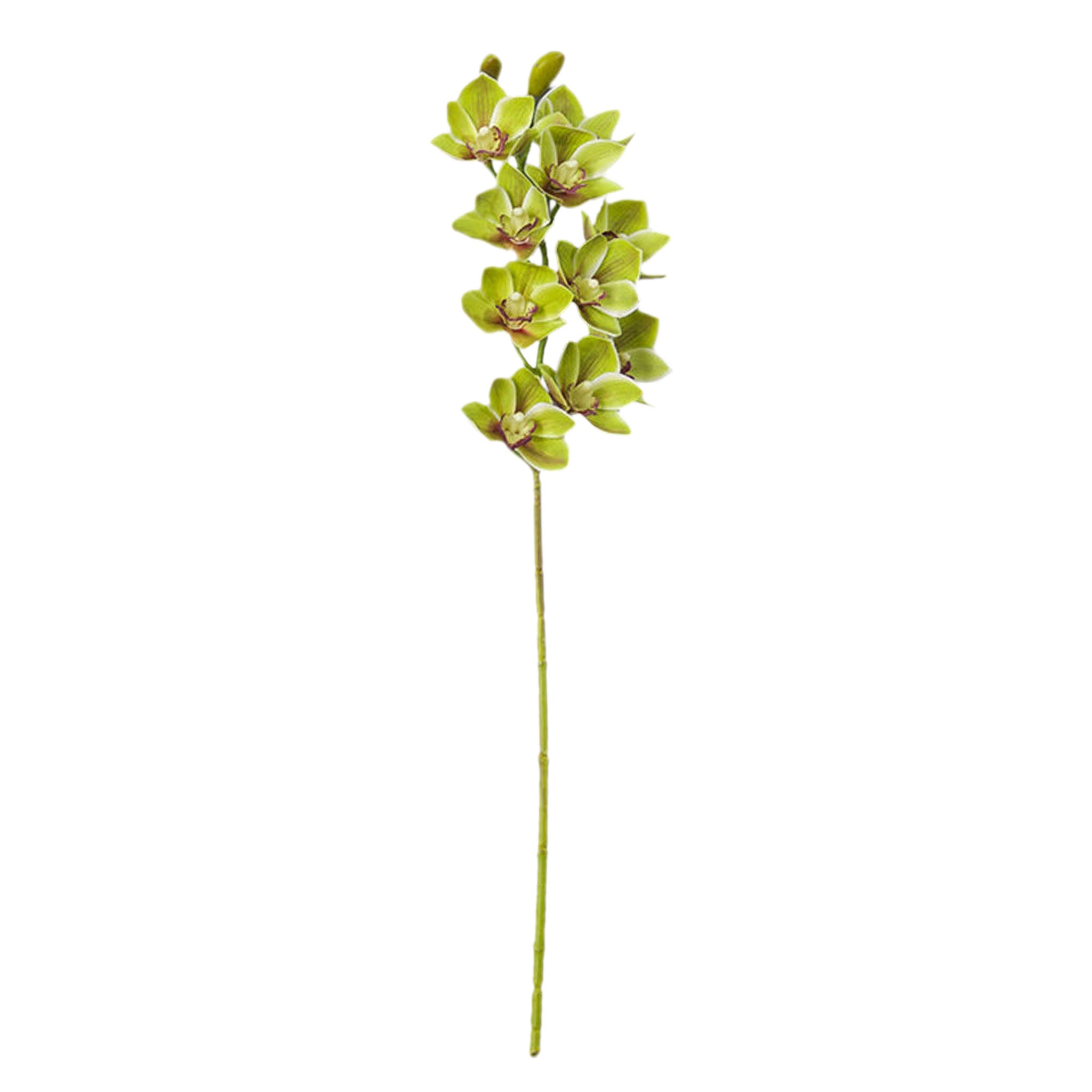 Real Touch 3D Printing Artificial Cymbidium Orchid Flower Latex Flowers
