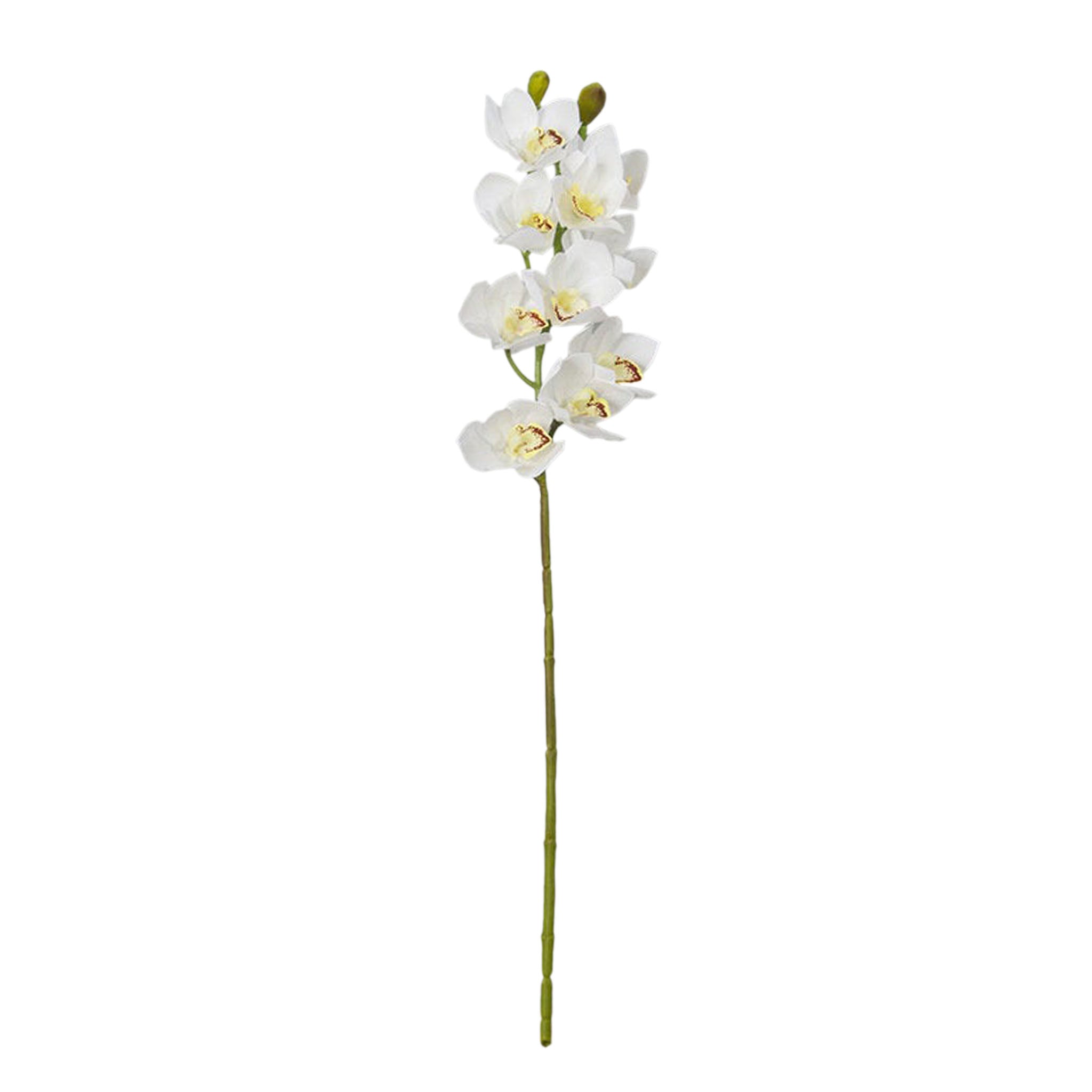 Real Touch 3D Printing Artificial Cymbidium Orchid Flower Latex Flowers